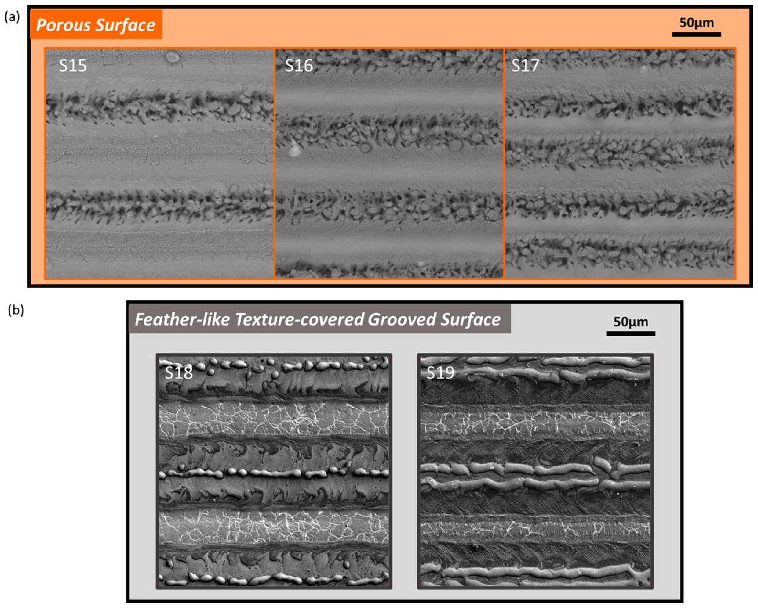 Coatings 14 00467 g007