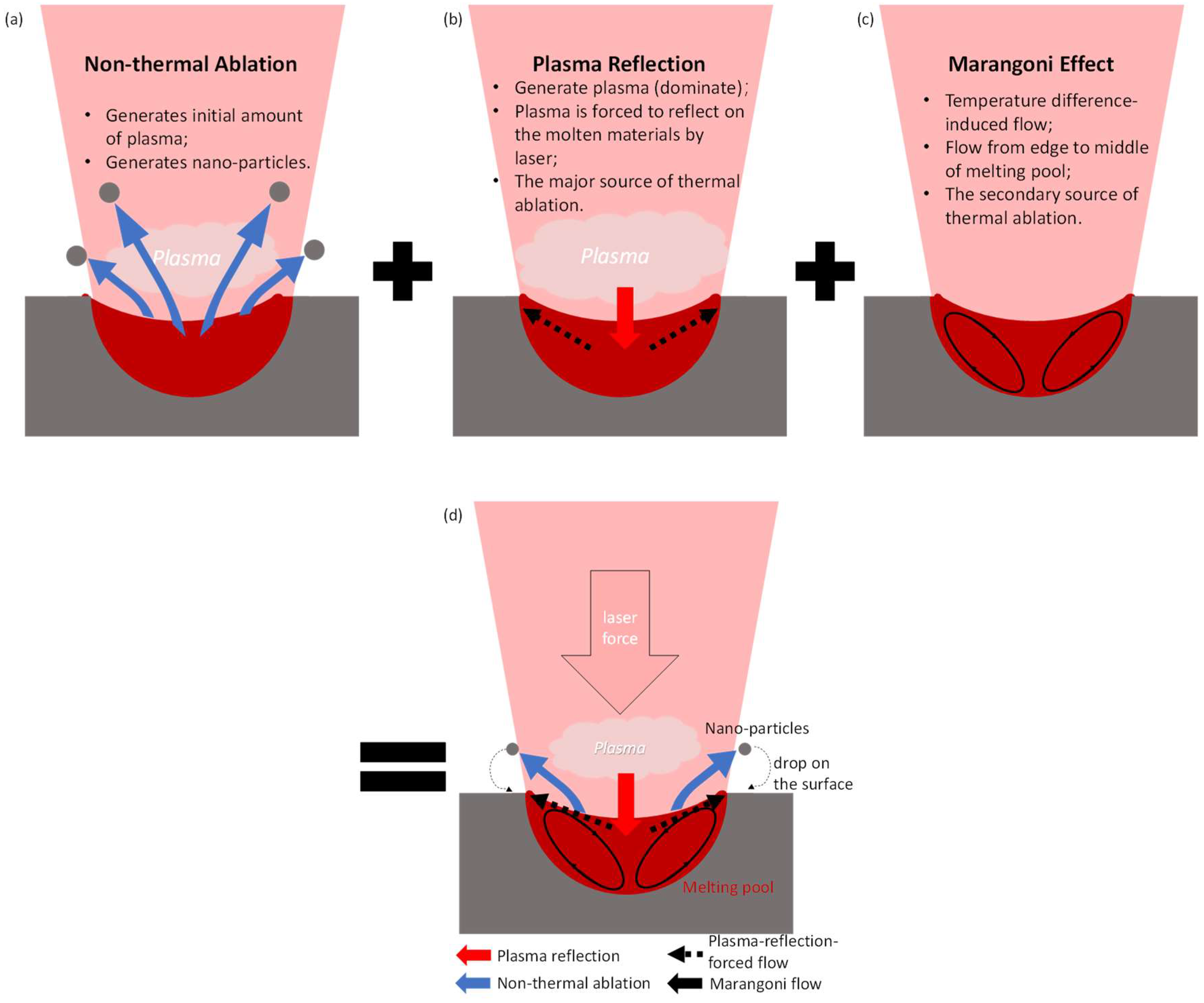 Coatings 14 00467 g013