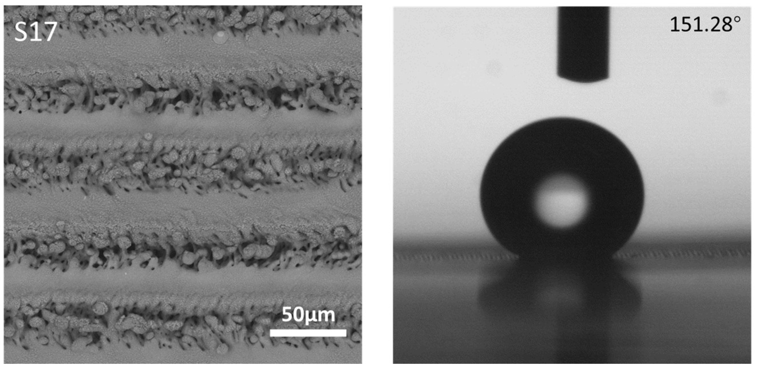 Coatings 14 00467 g029