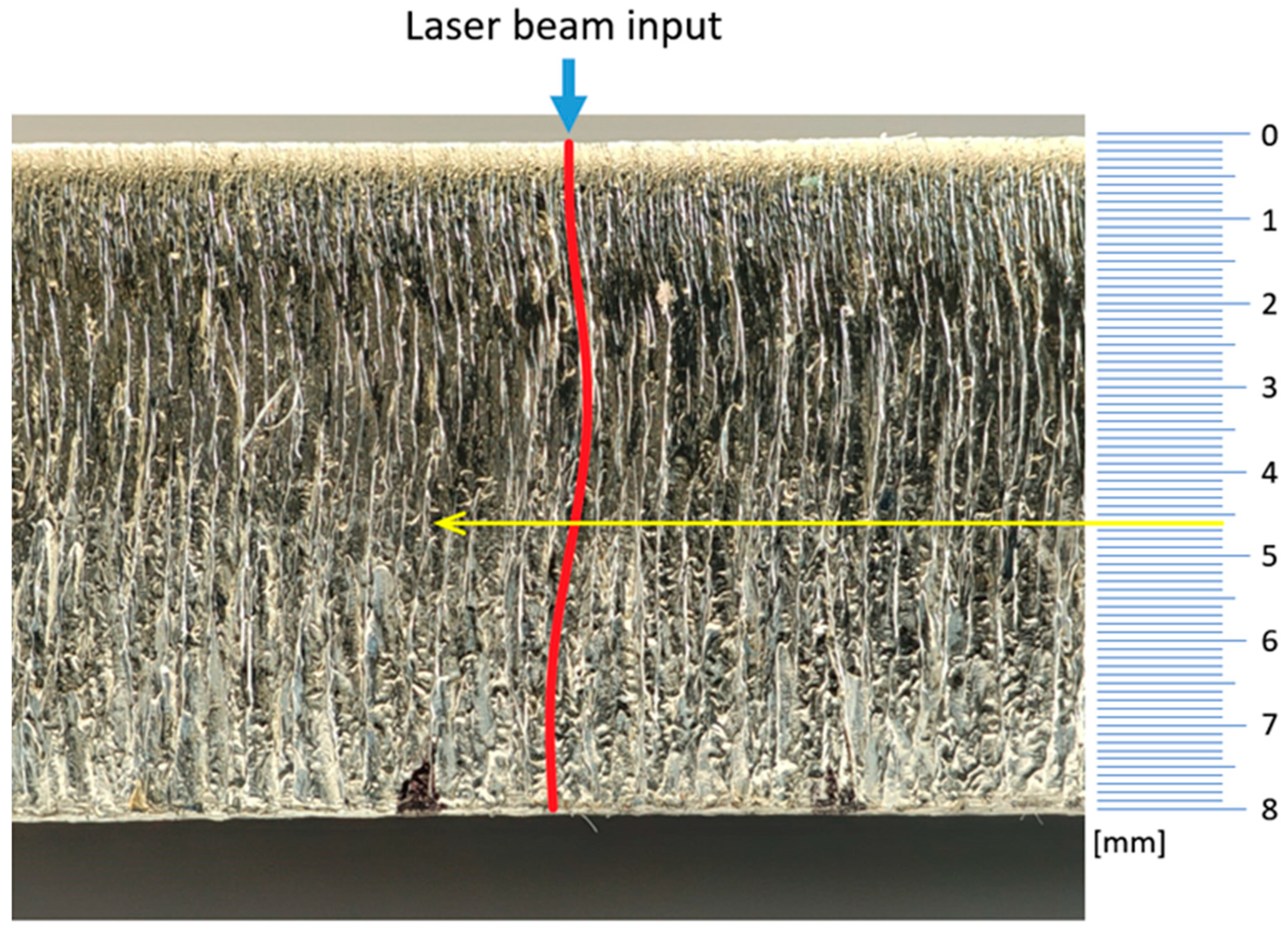 Coatings 14 00471 g014