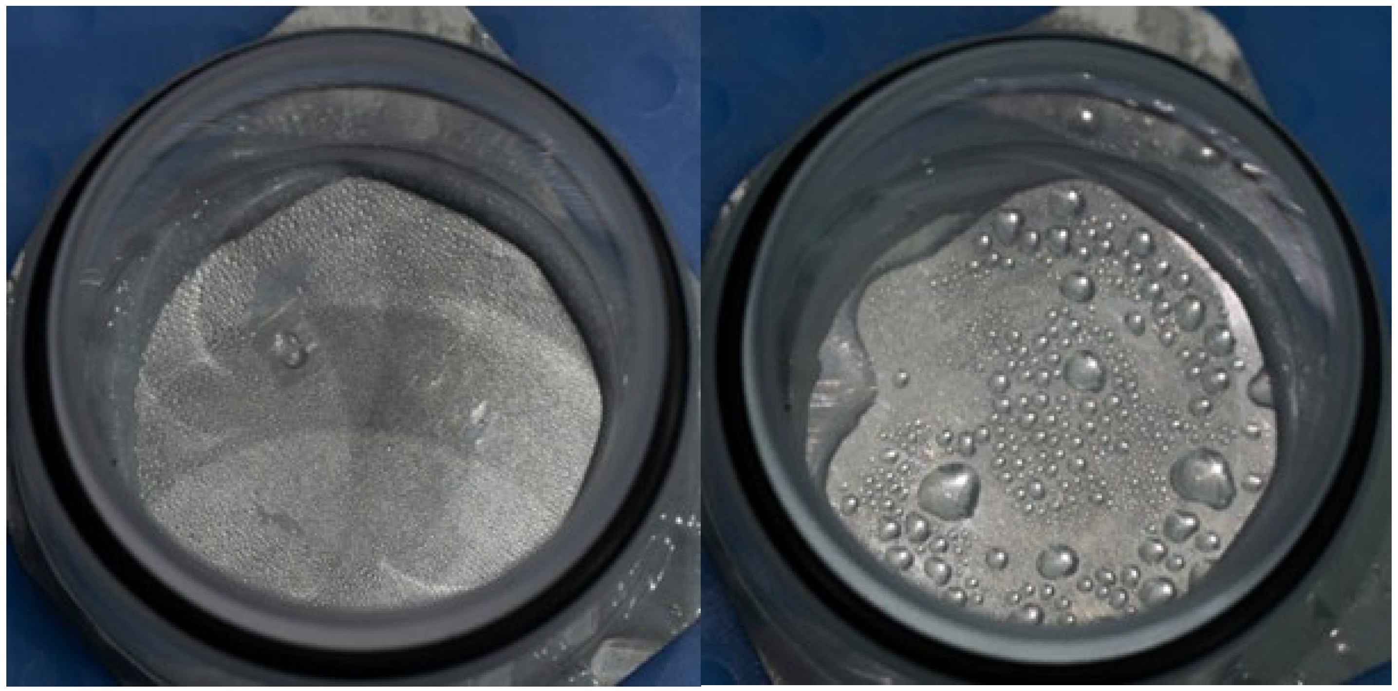 Coatings 14 00472 g008