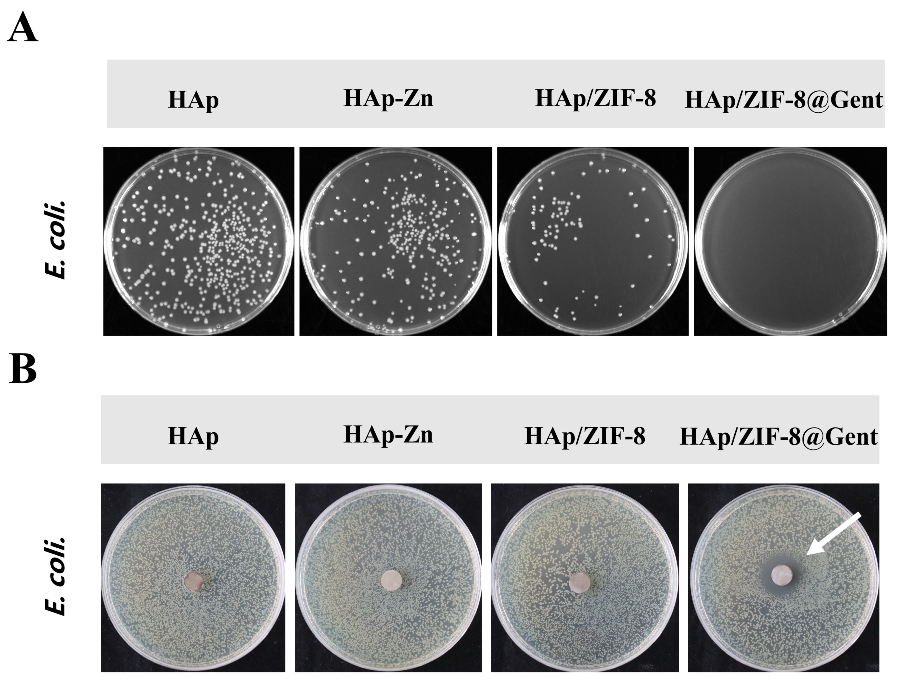 Coatings 14 00477 g005 Coatings 14 00477 g005