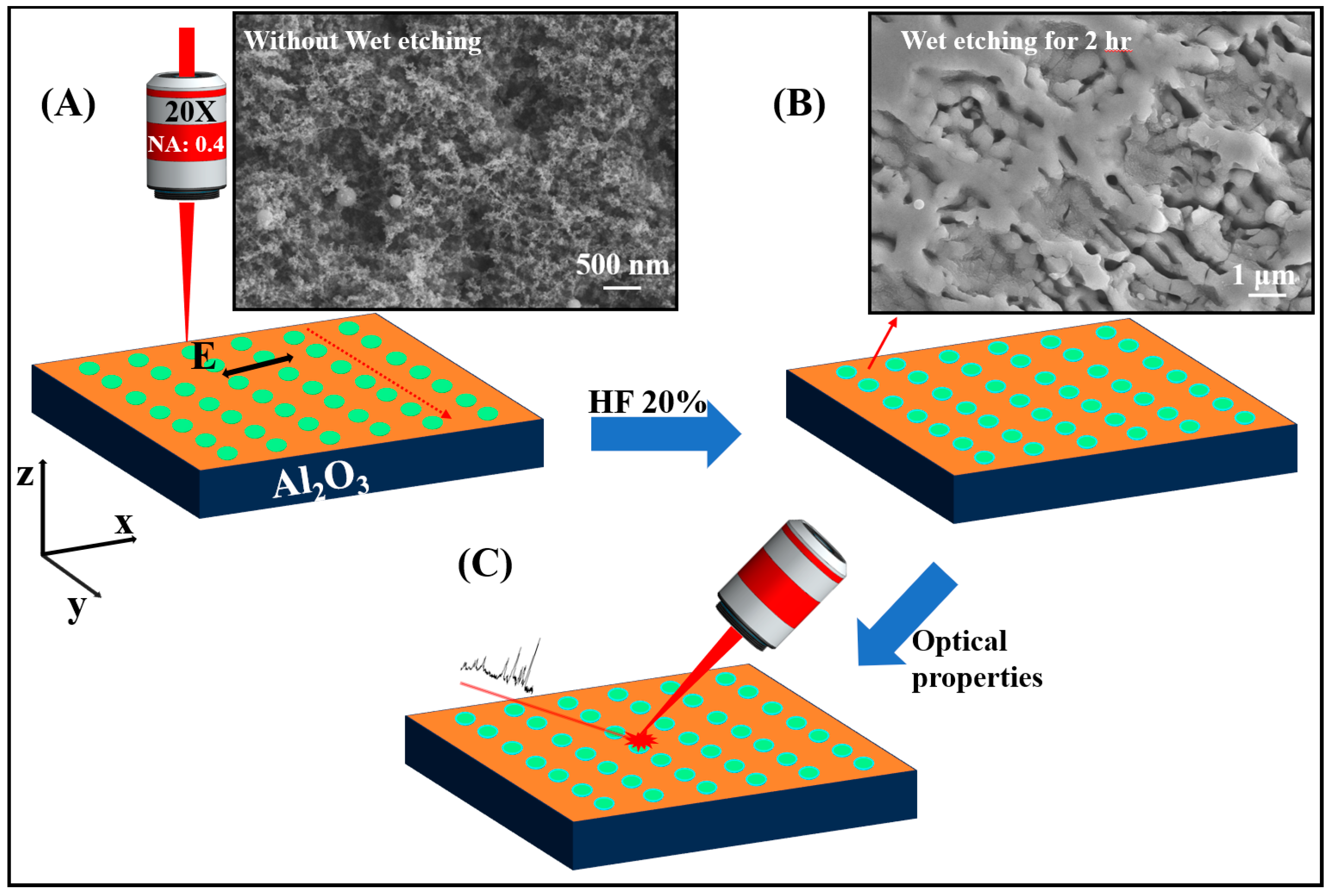 Coatings 14 00481 g001