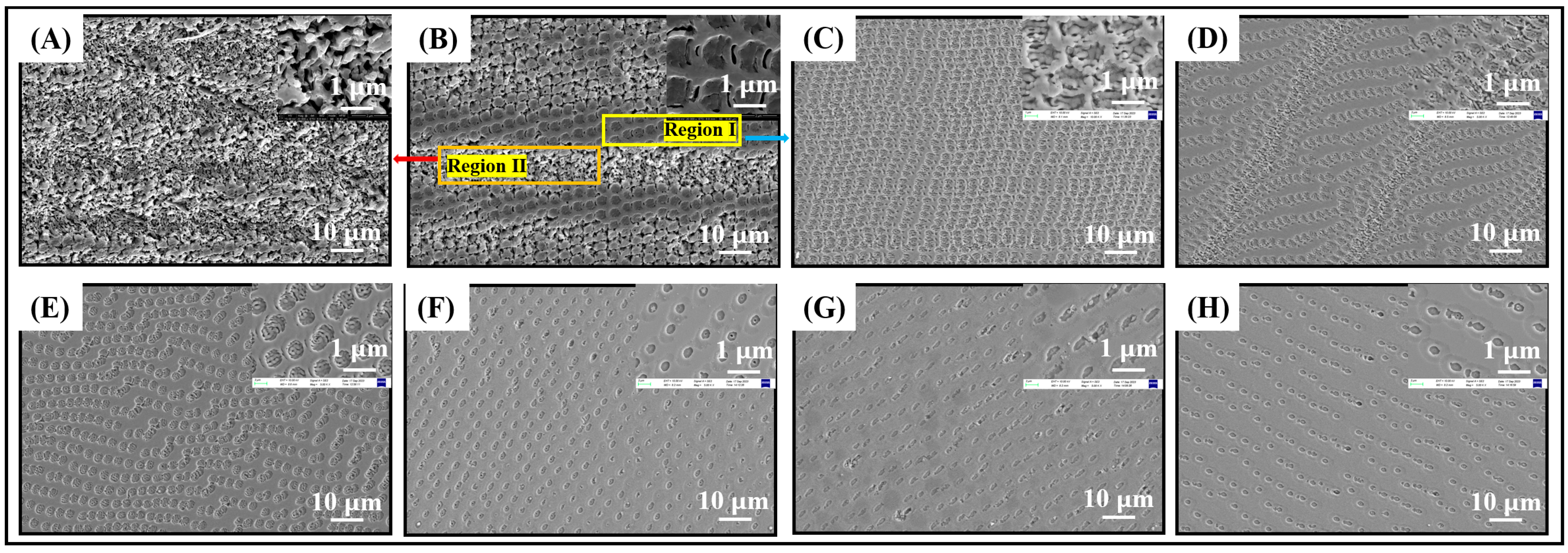 Coatings 14 00481 g003