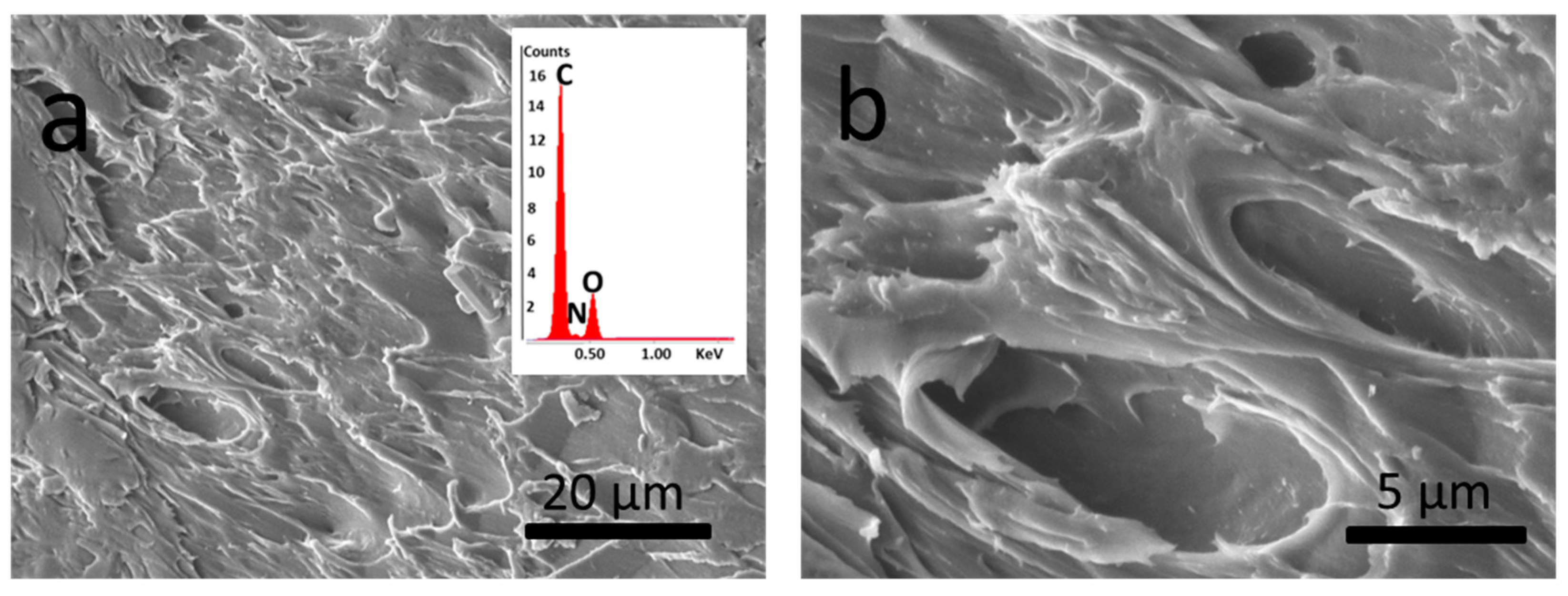 Coatings 14 00482 g002