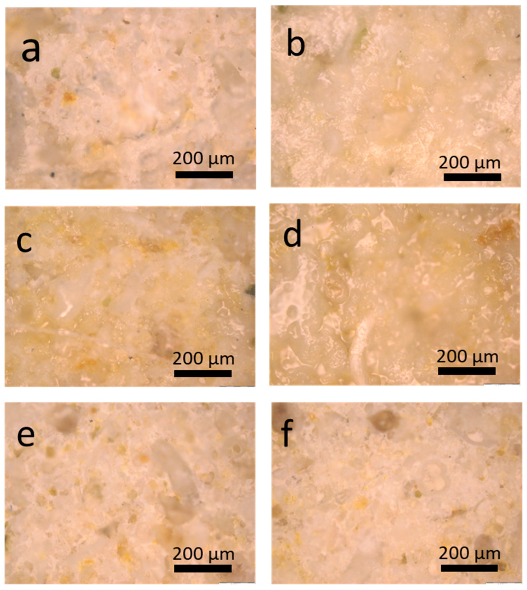 Coatings 14 00482 g005