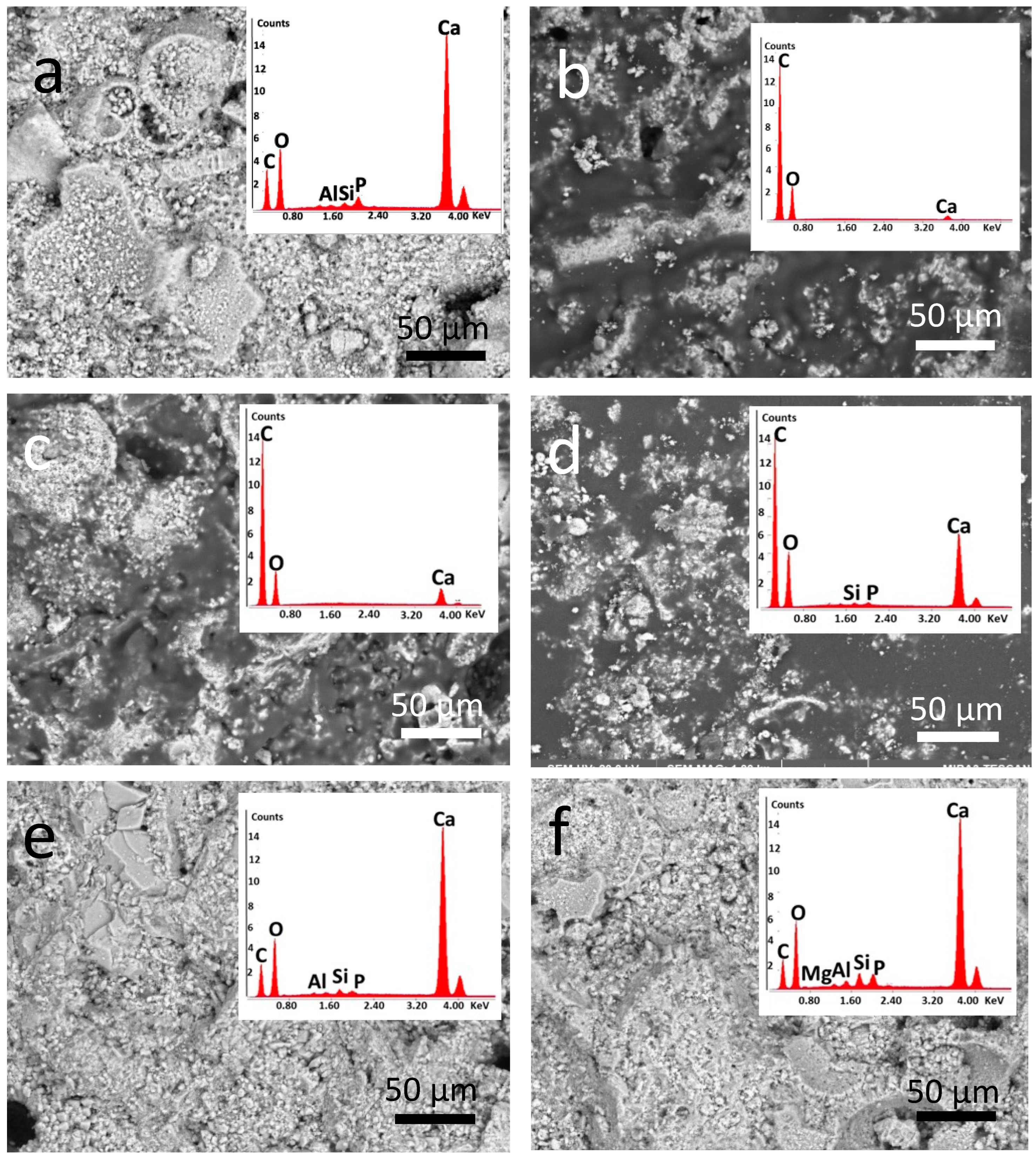 Coatings 14 00482 g006