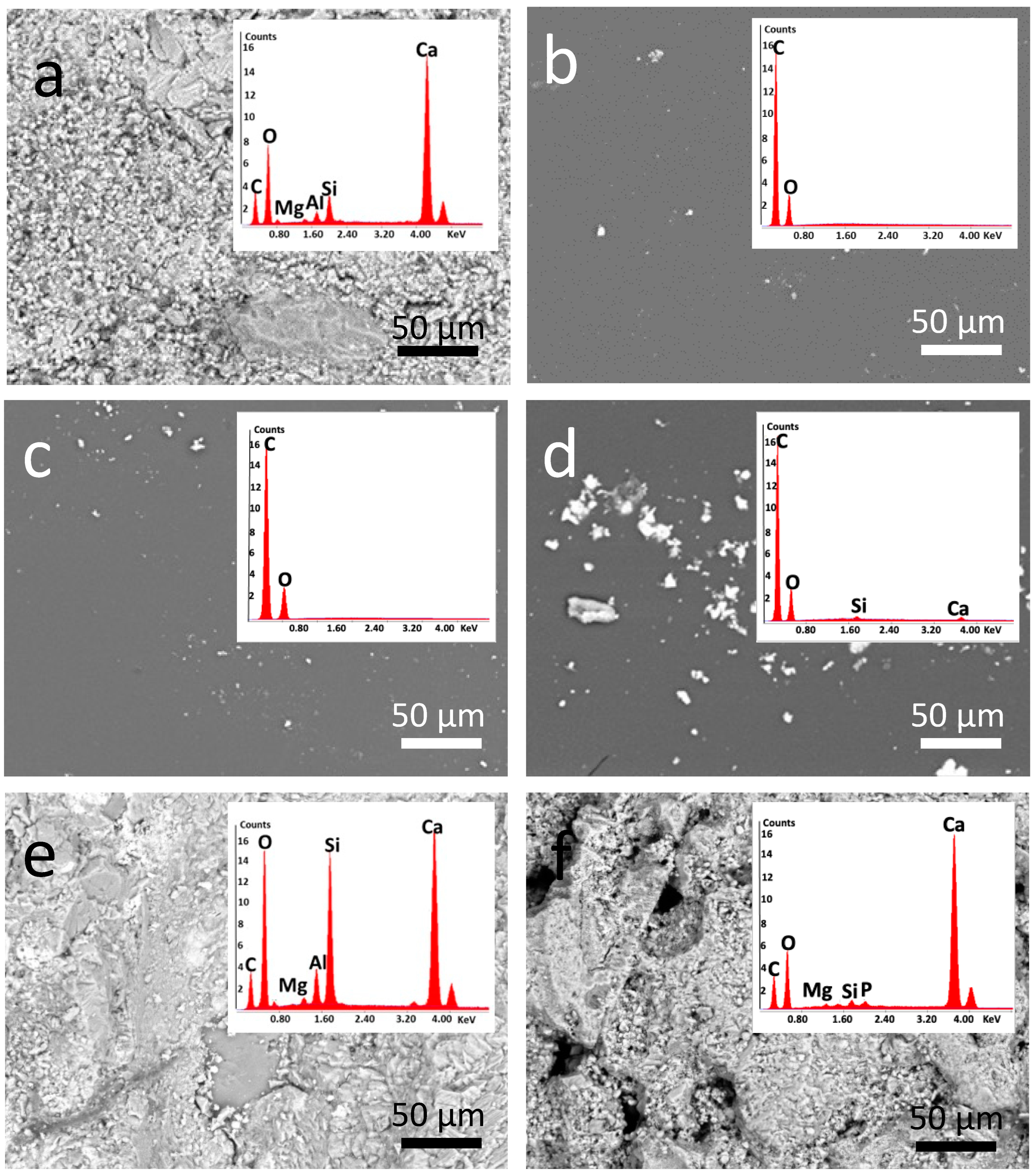 Coatings 14 00482 g007