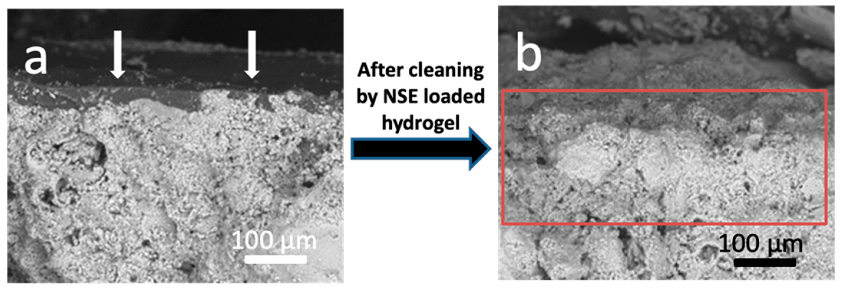 Coatings 14 00482 g008