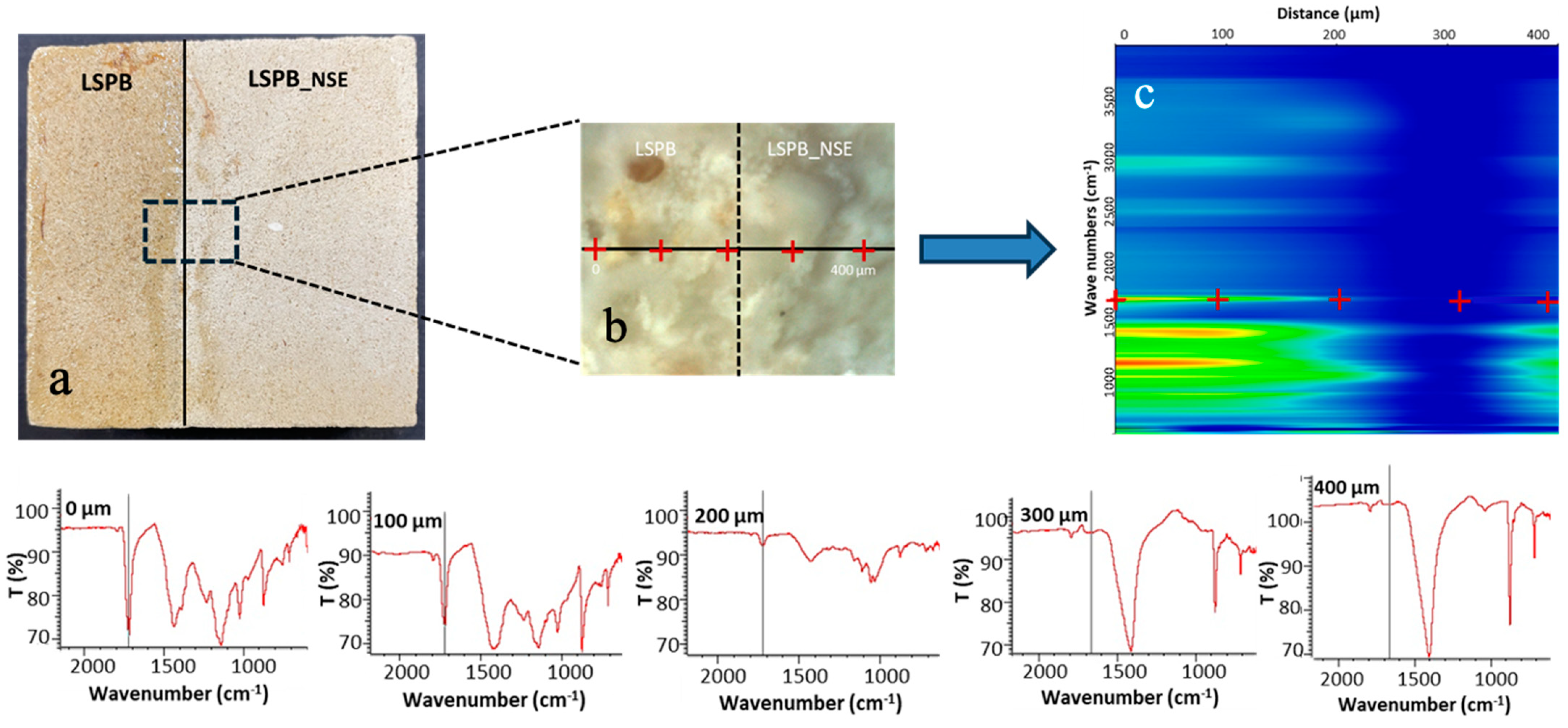 Coatings 14 00482 g010