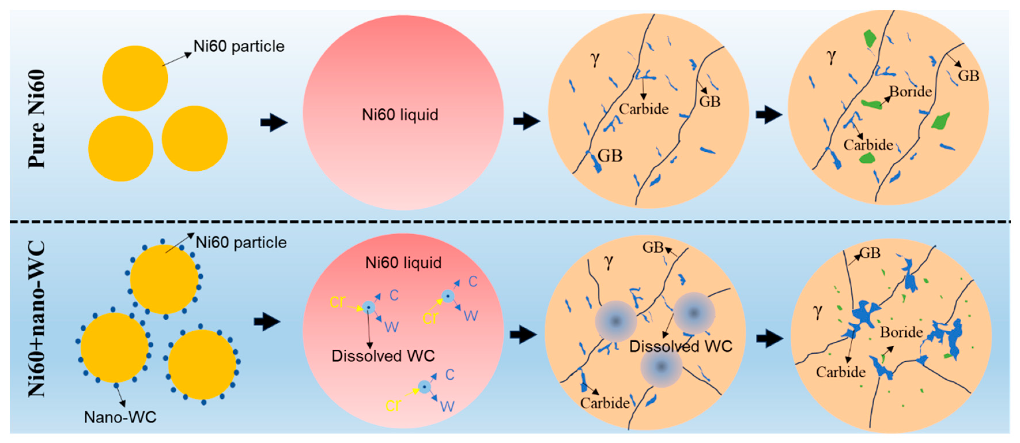 Coatings 14 00484 g010