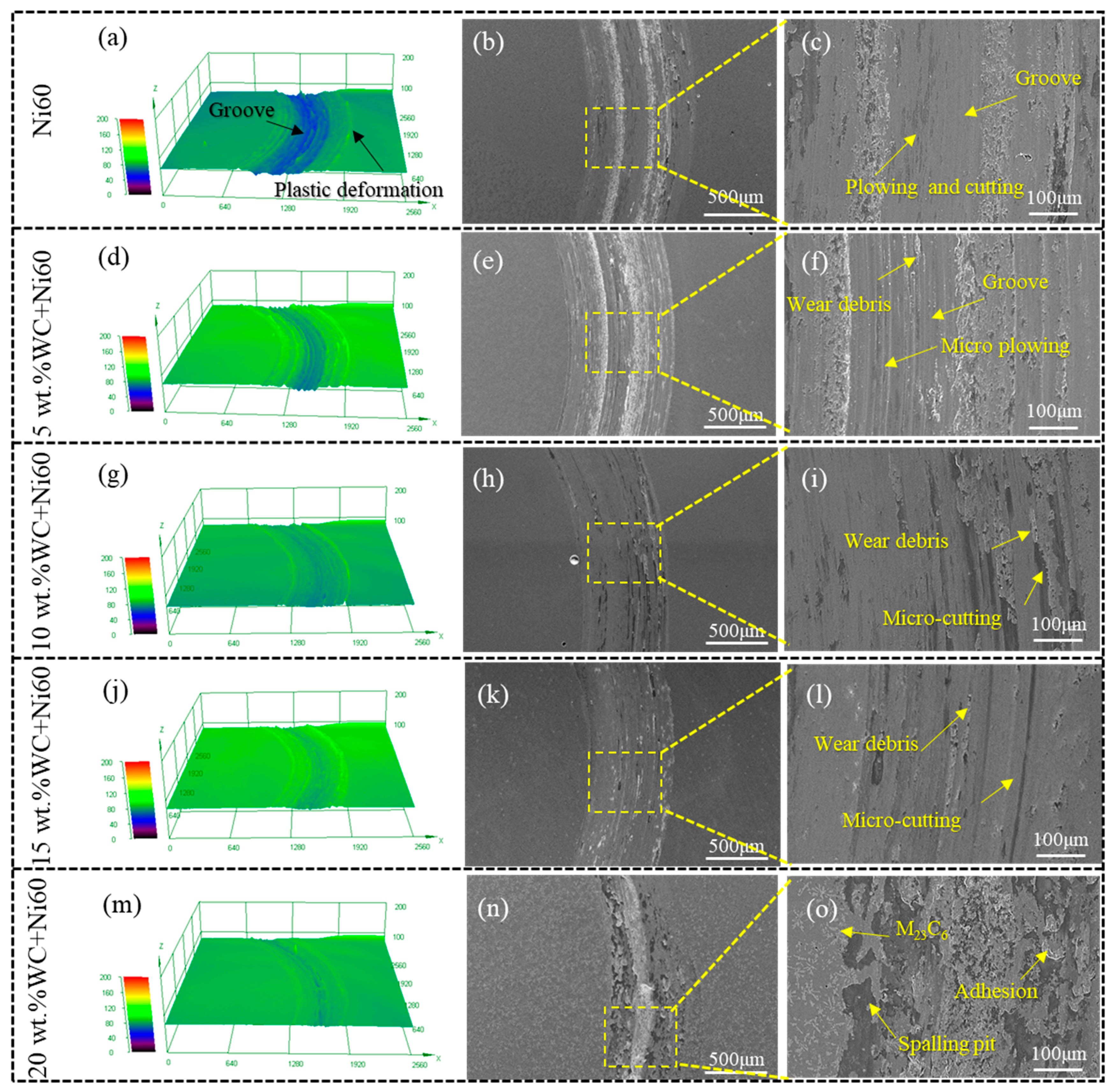 Coatings 14 00484 g011