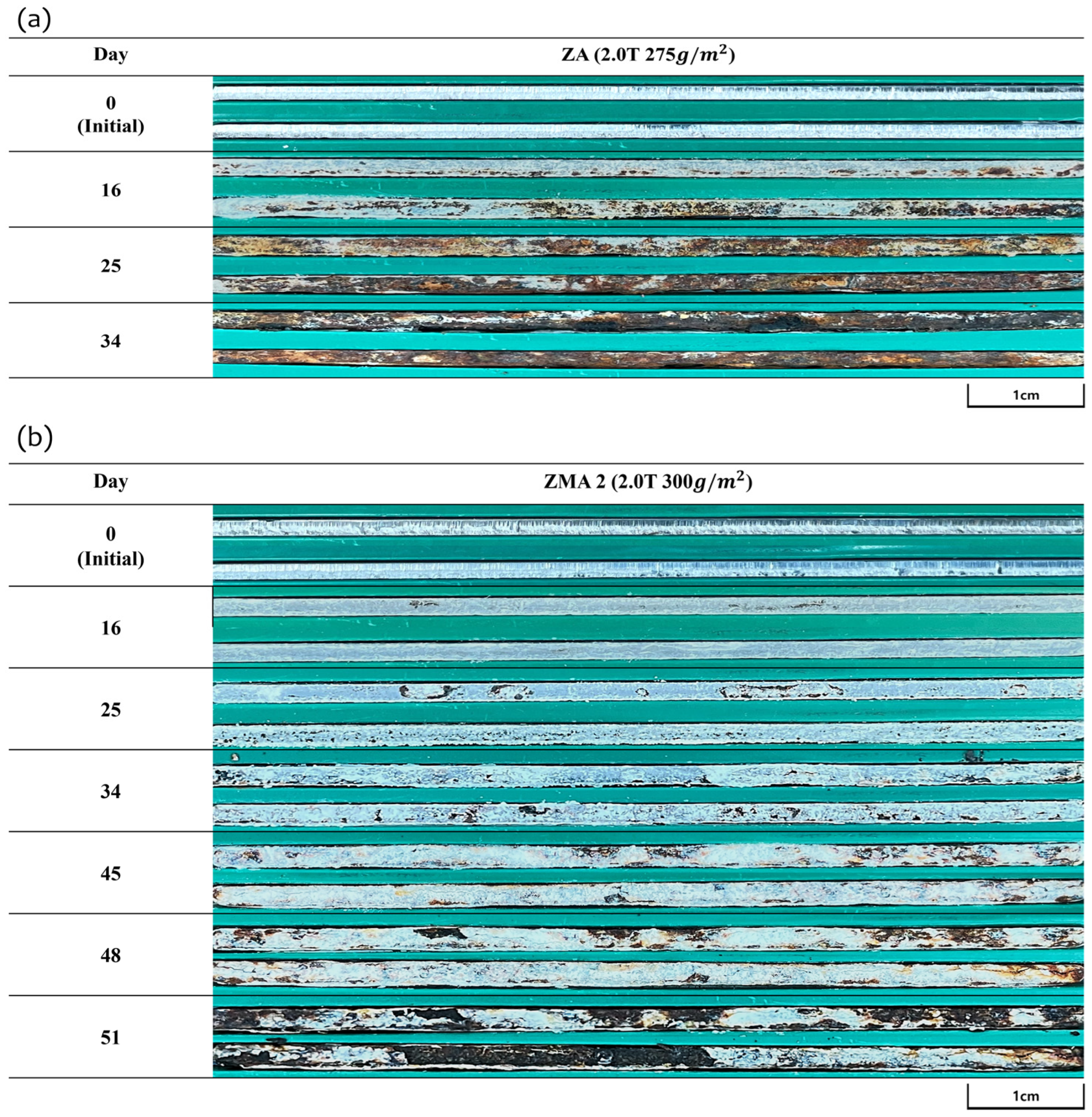 Coatings 14 00485 g001a