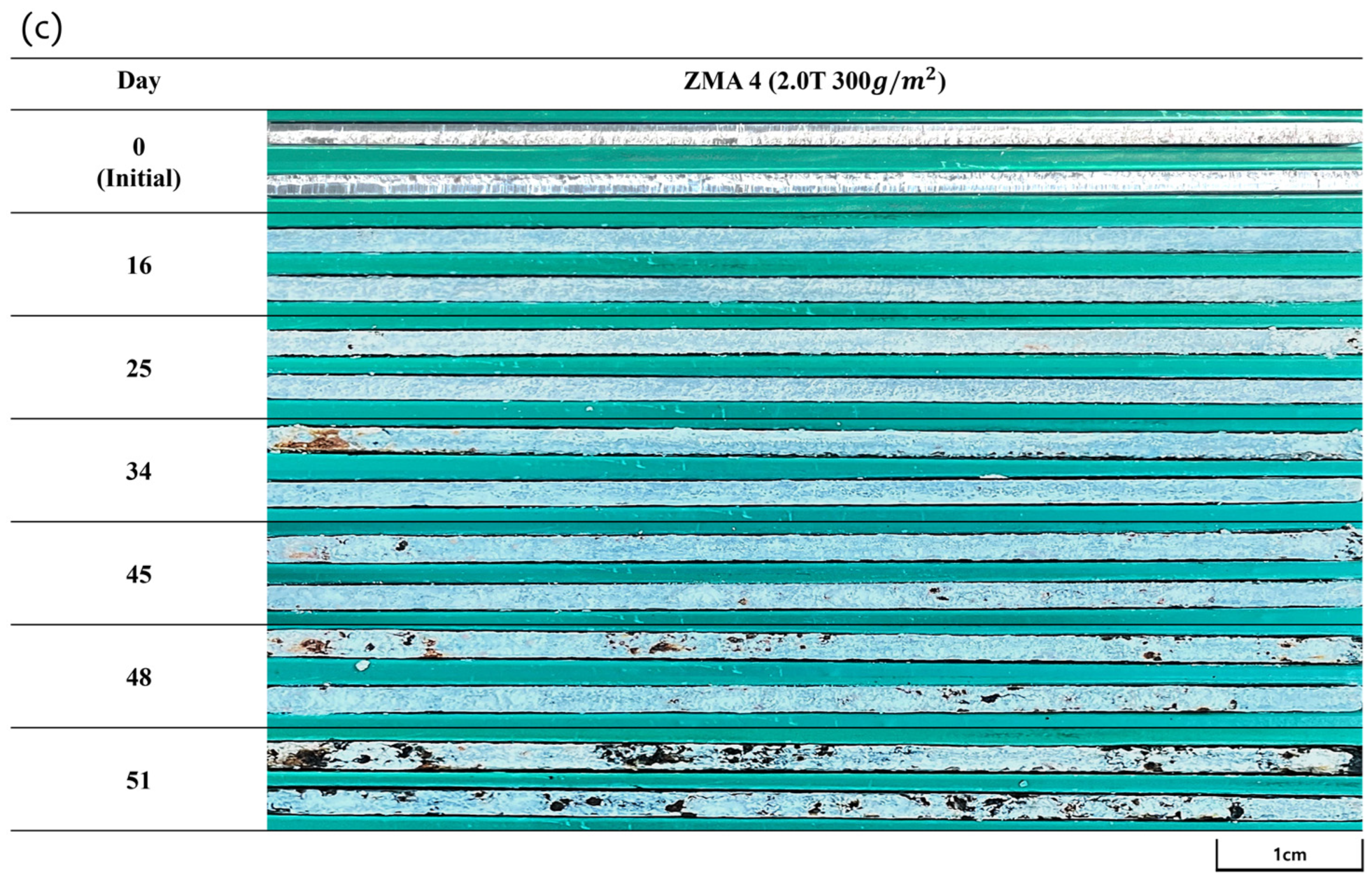Coatings 14 00485 g001b