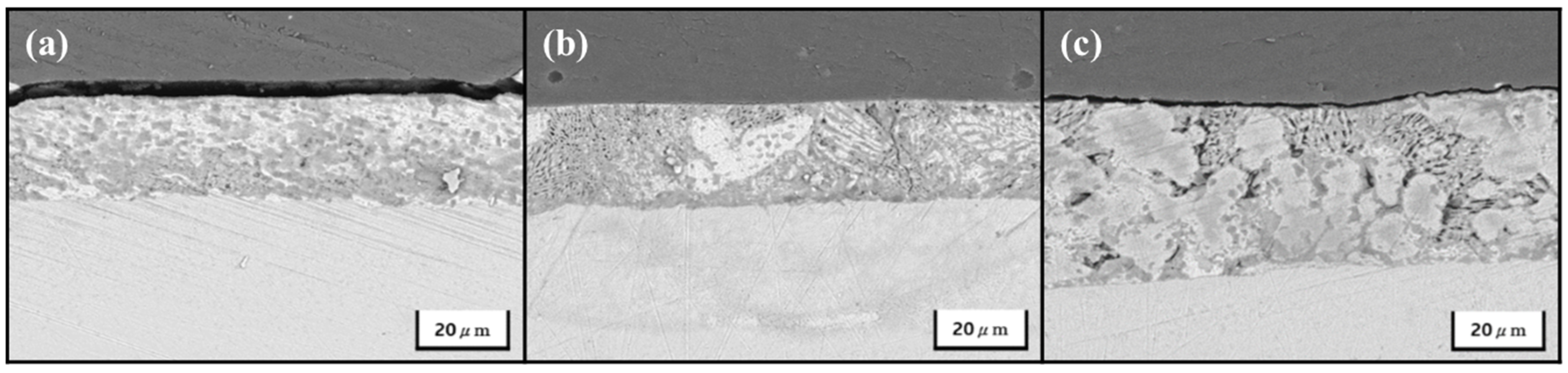 Coatings 14 00485 g004