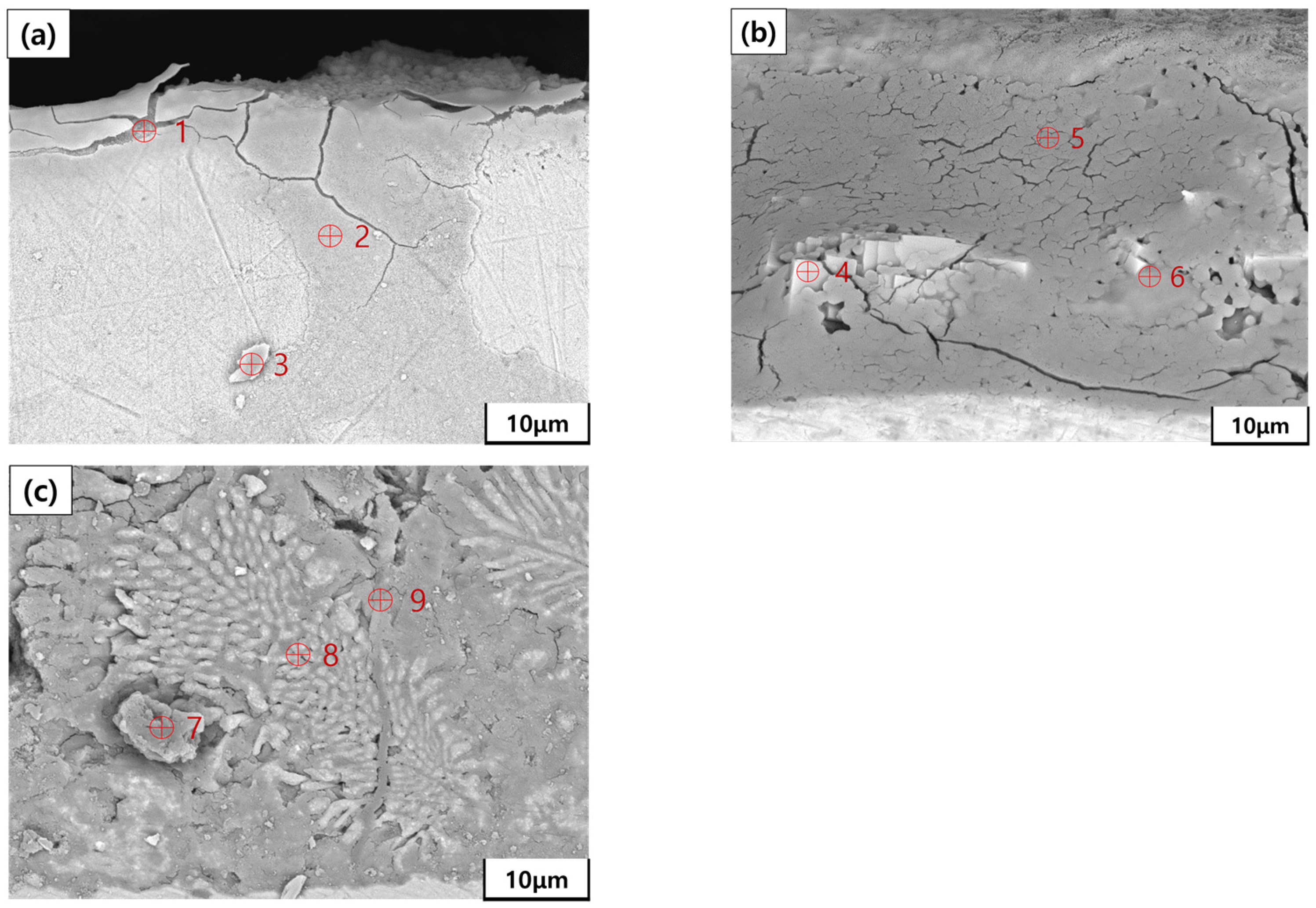 Coatings 14 00485 g006