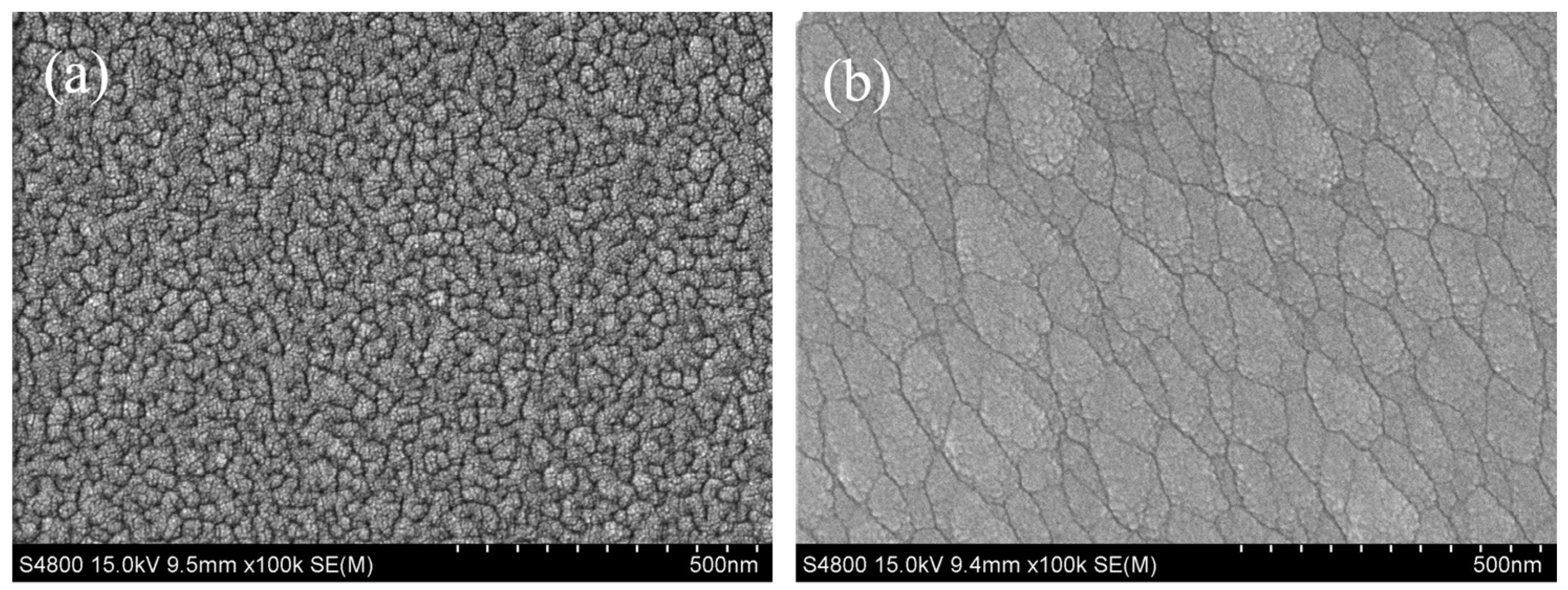 Coatings 14 00492 g002