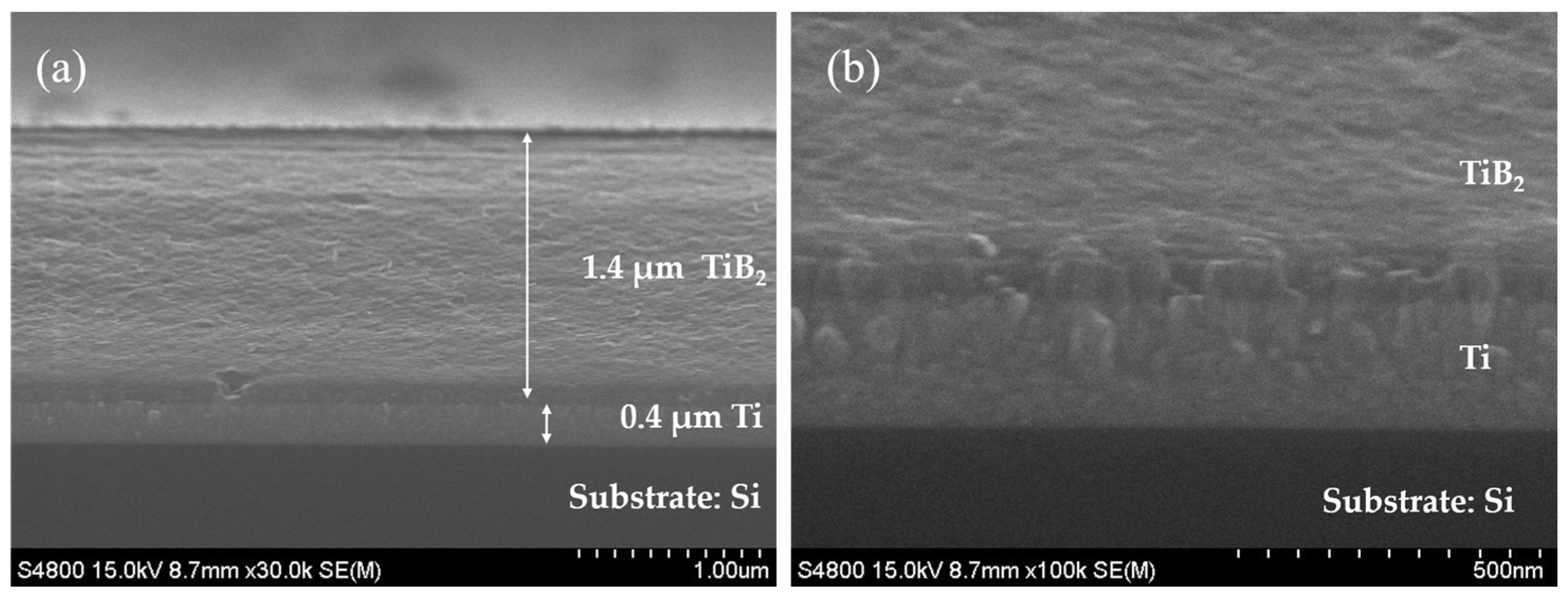 Coatings 14 00492 g003