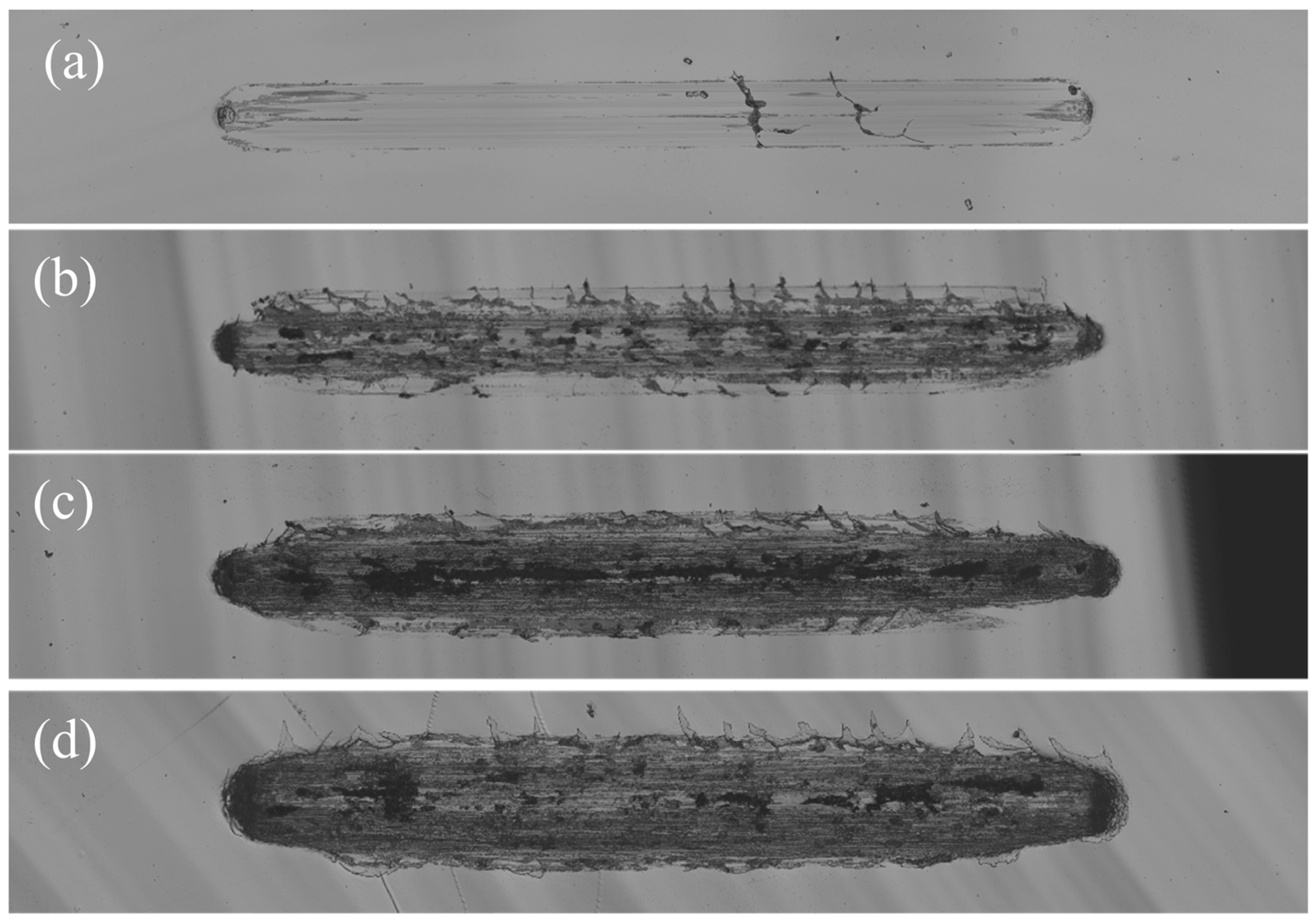 Coatings 14 00492 g009