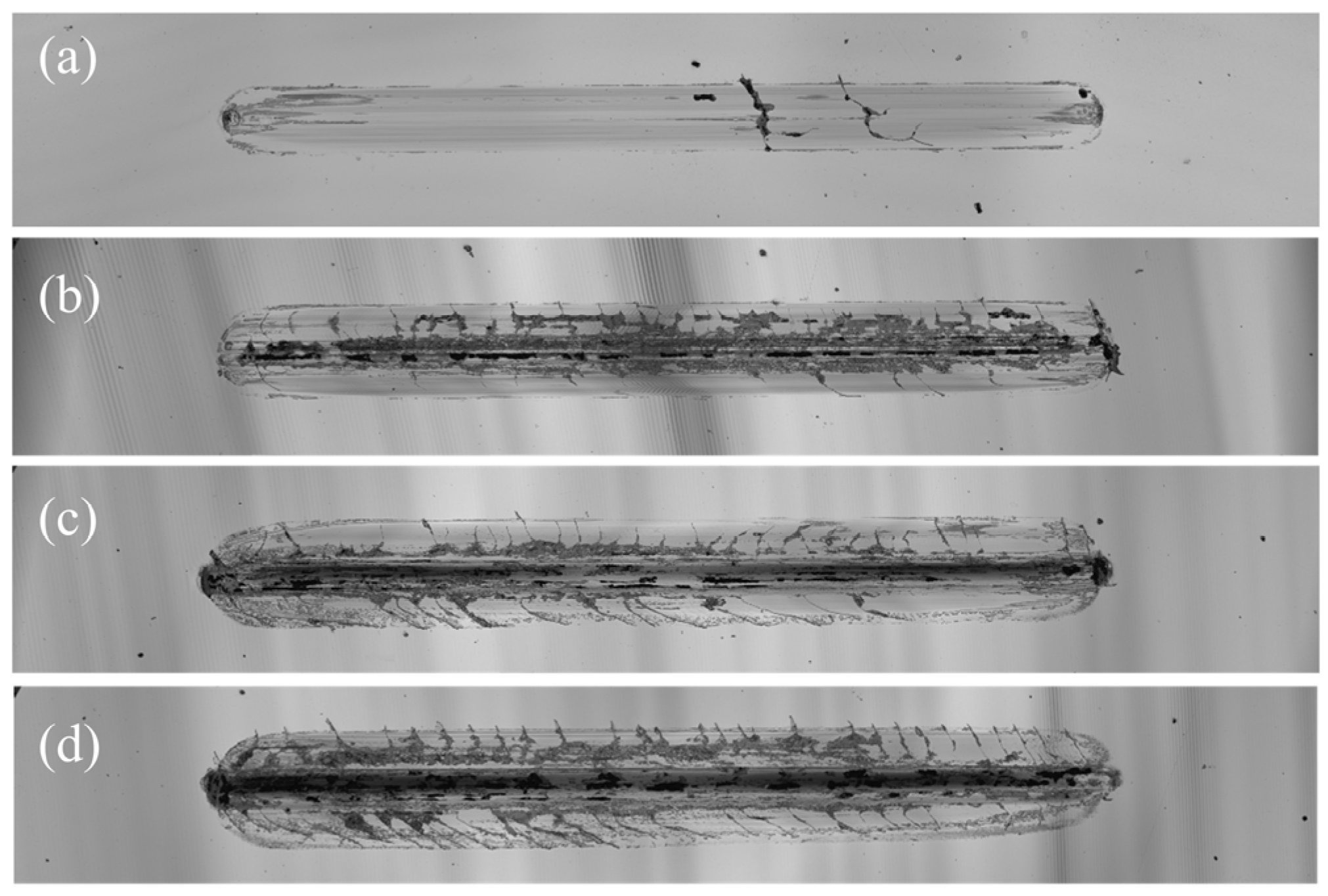 Coatings 14 00492 g014