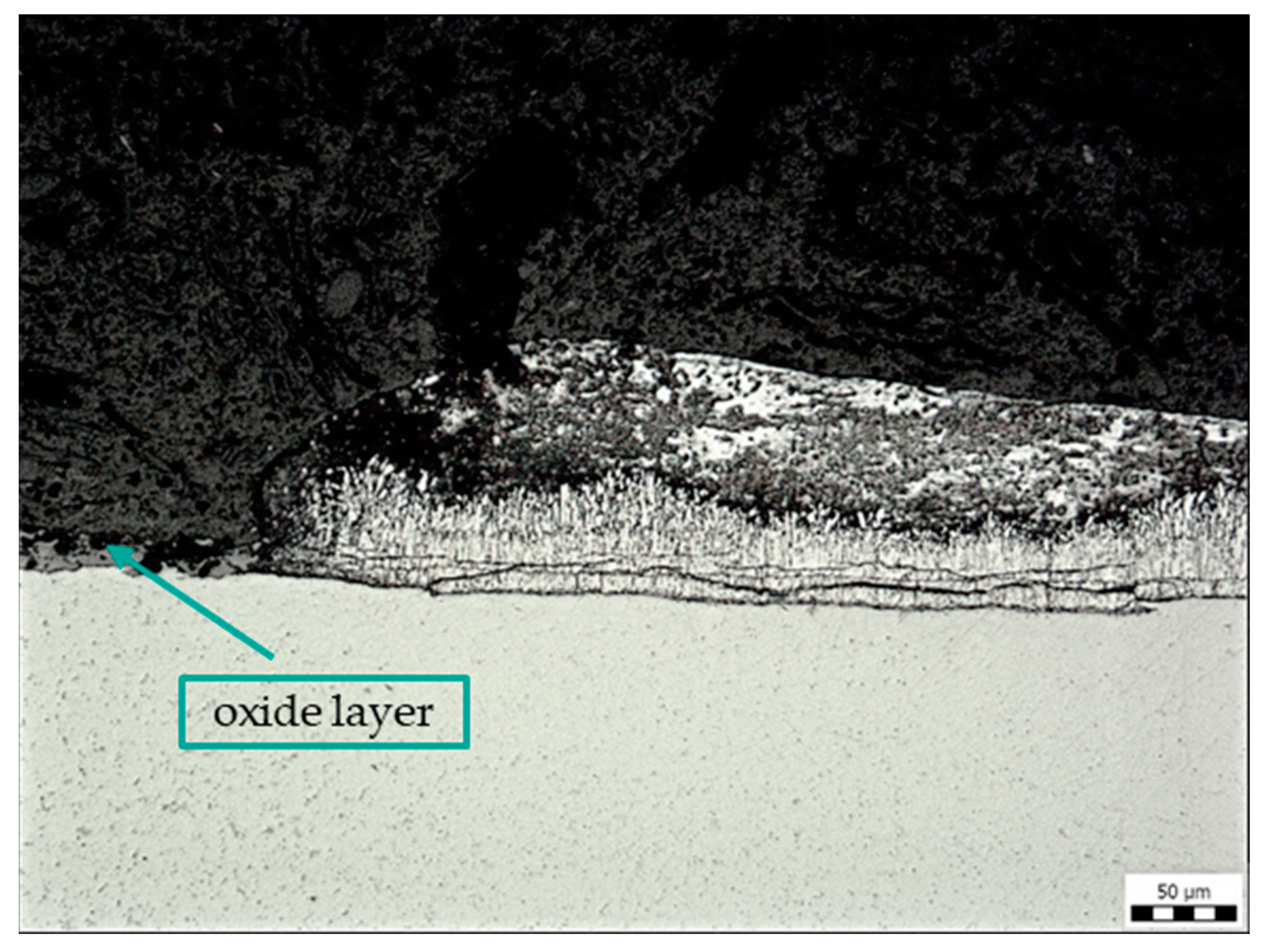 Coatings 14 00493 g008