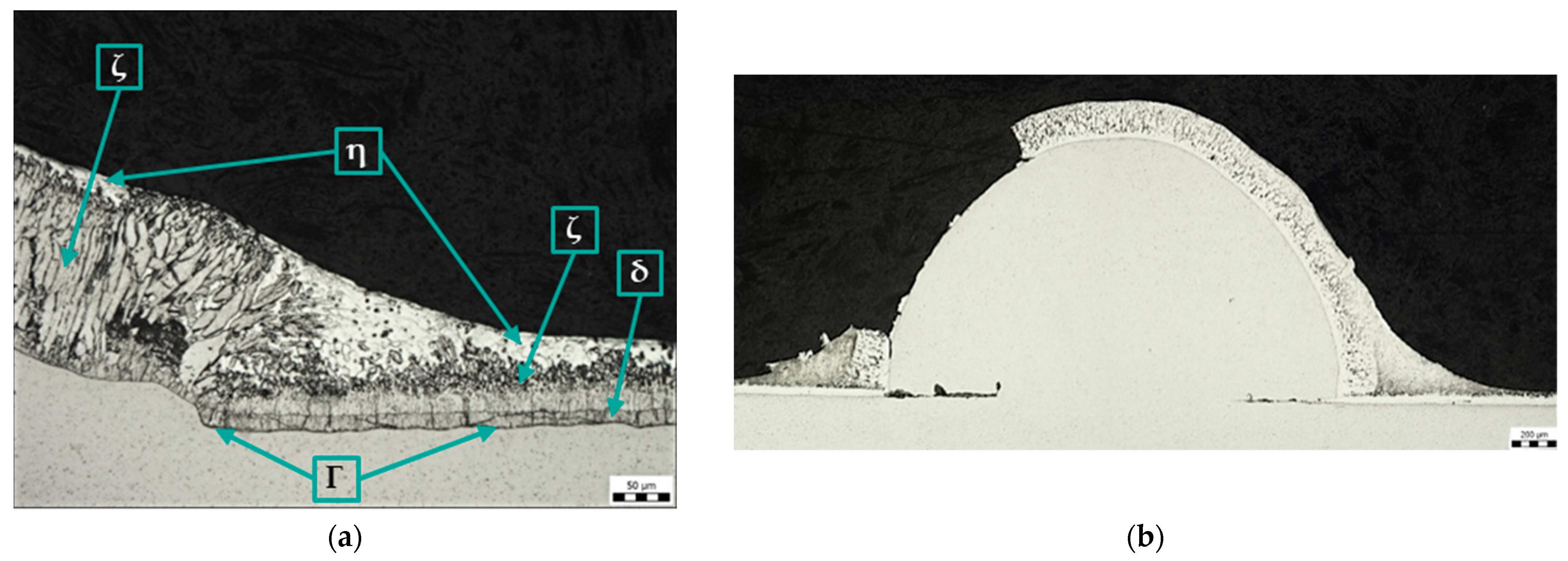 Coatings 14 00493 g009