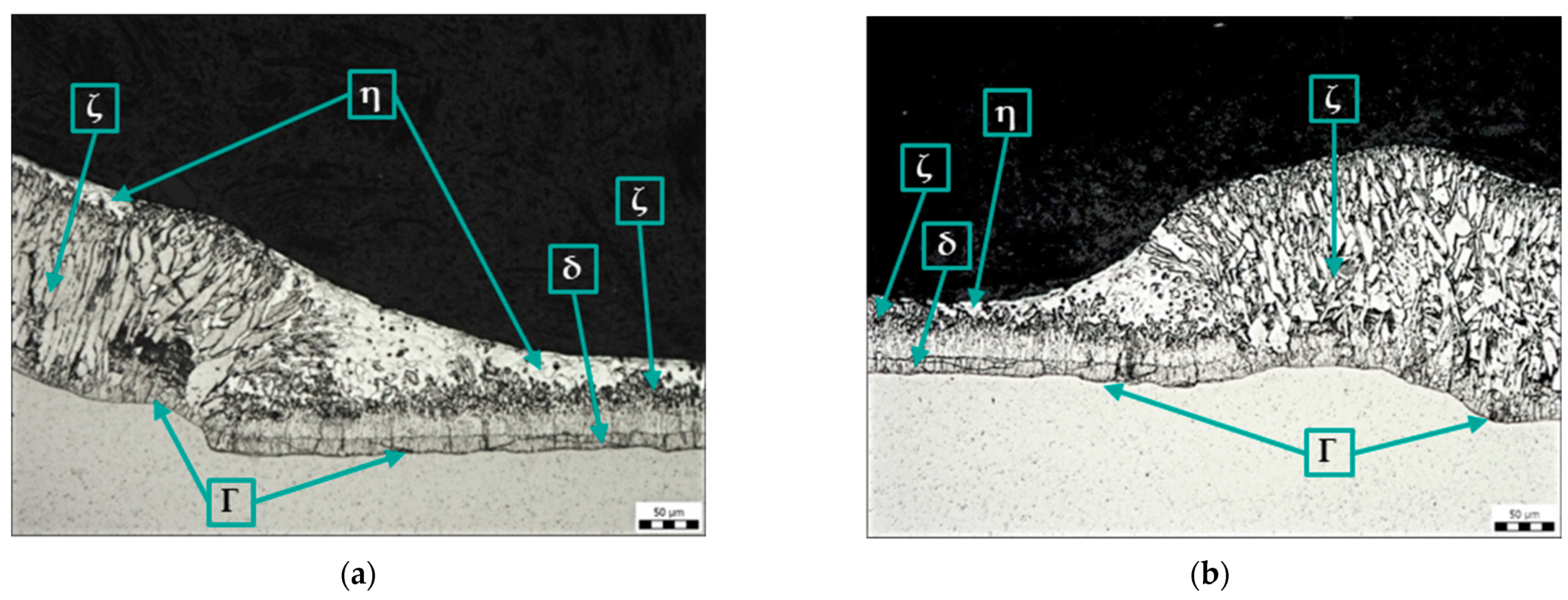 Coatings 14 00493 g011