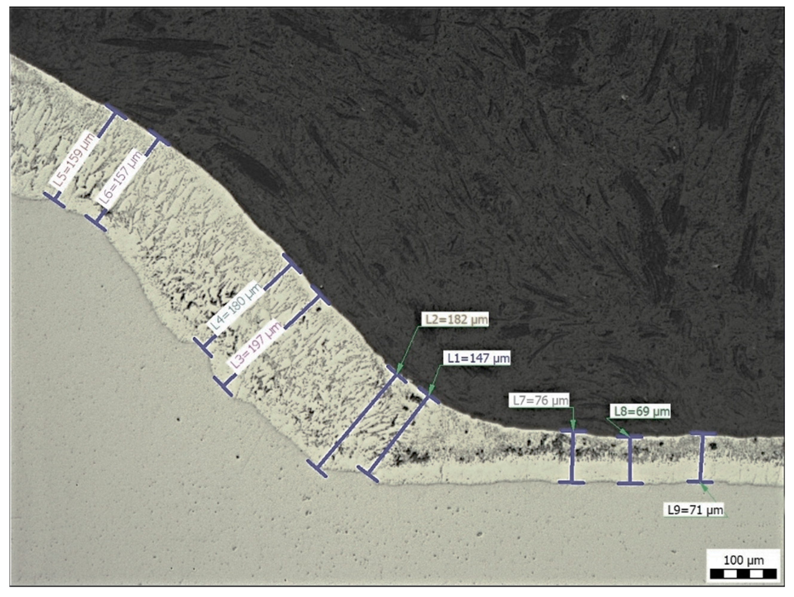 Coatings 14 00493 g012