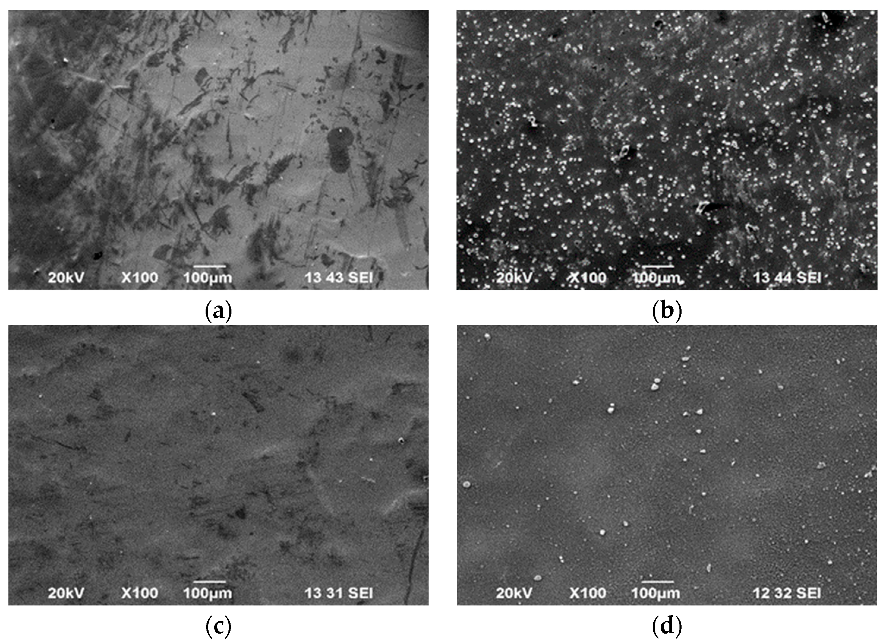 Coatings 14 00495 g003