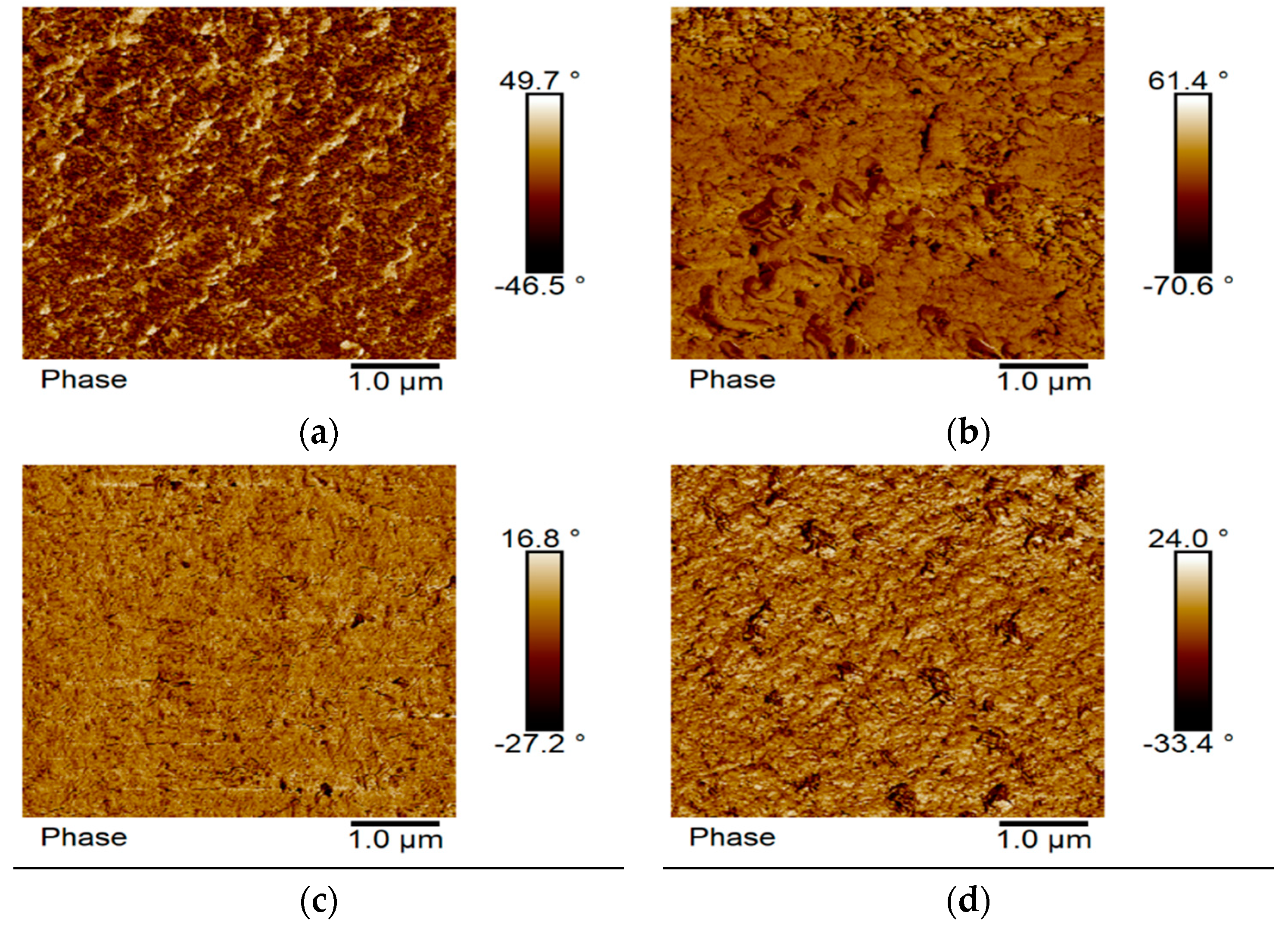 Coatings 14 00495 g012