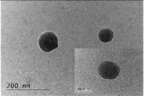 Coatings 14 00495 i001