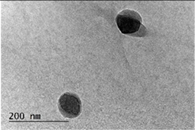 Coatings 14 00495 i003