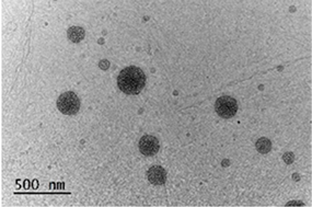 Coatings 14 00495 i004