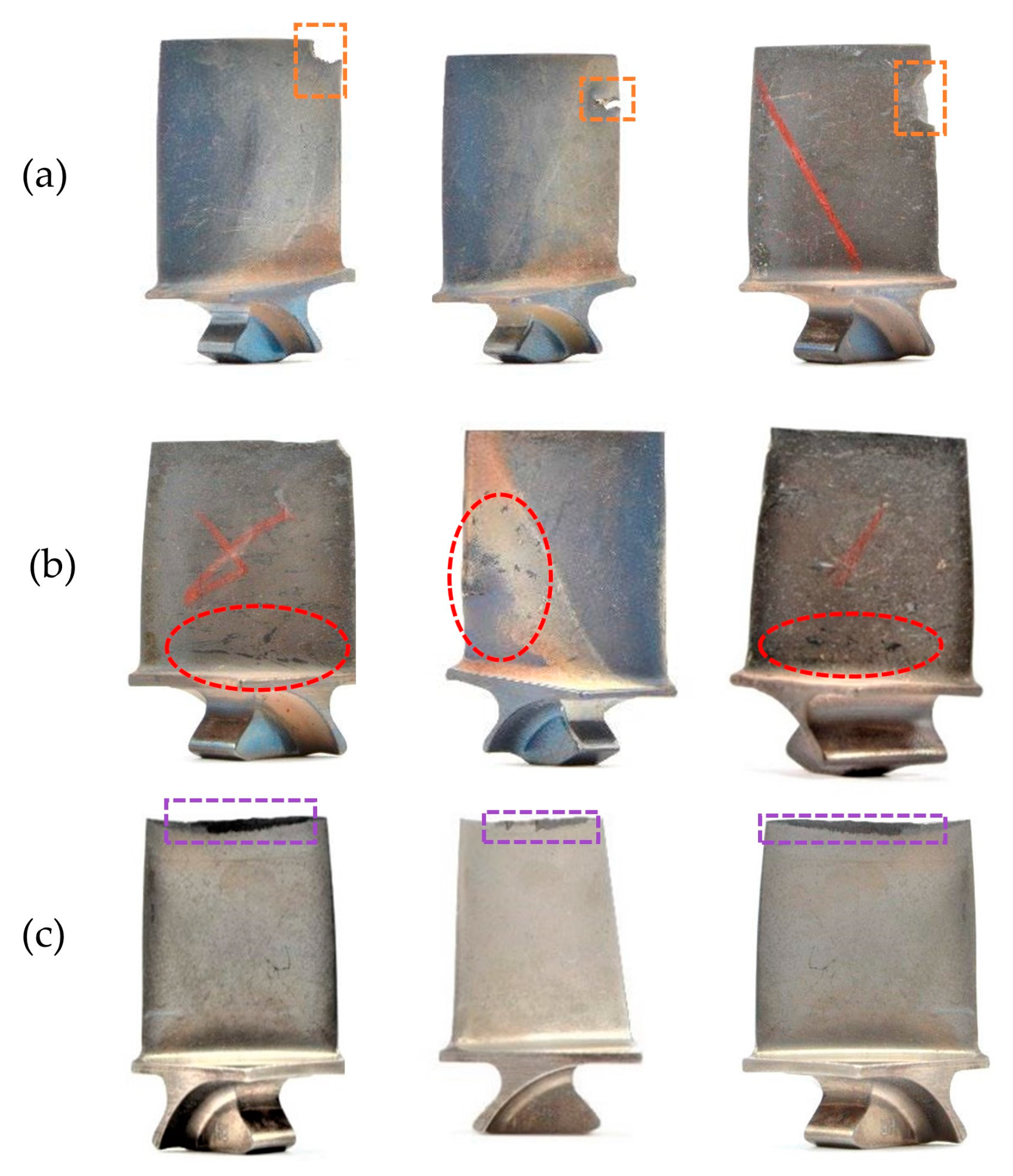 Coatings 14 00501 g003