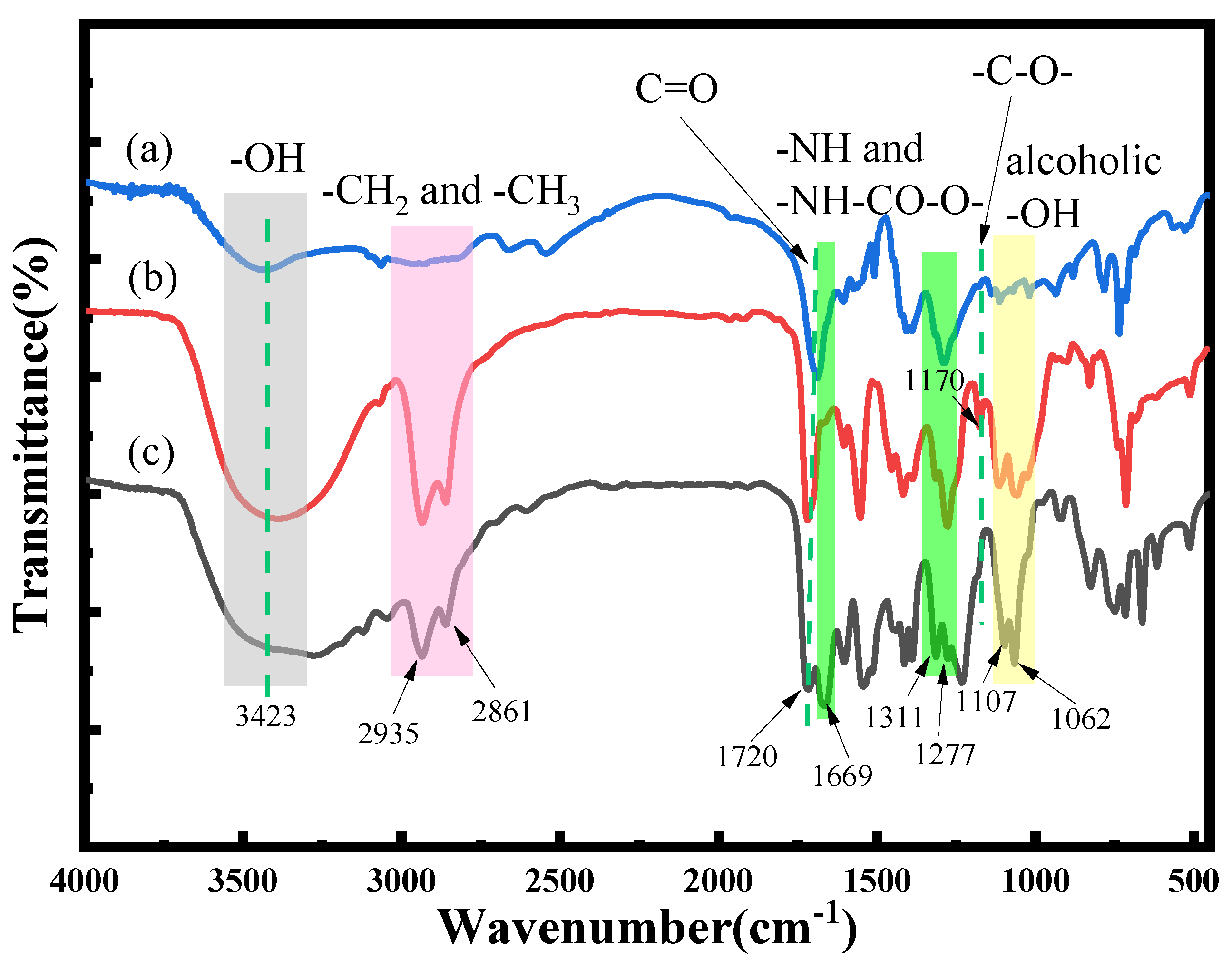 Coatings 14 00503 g004