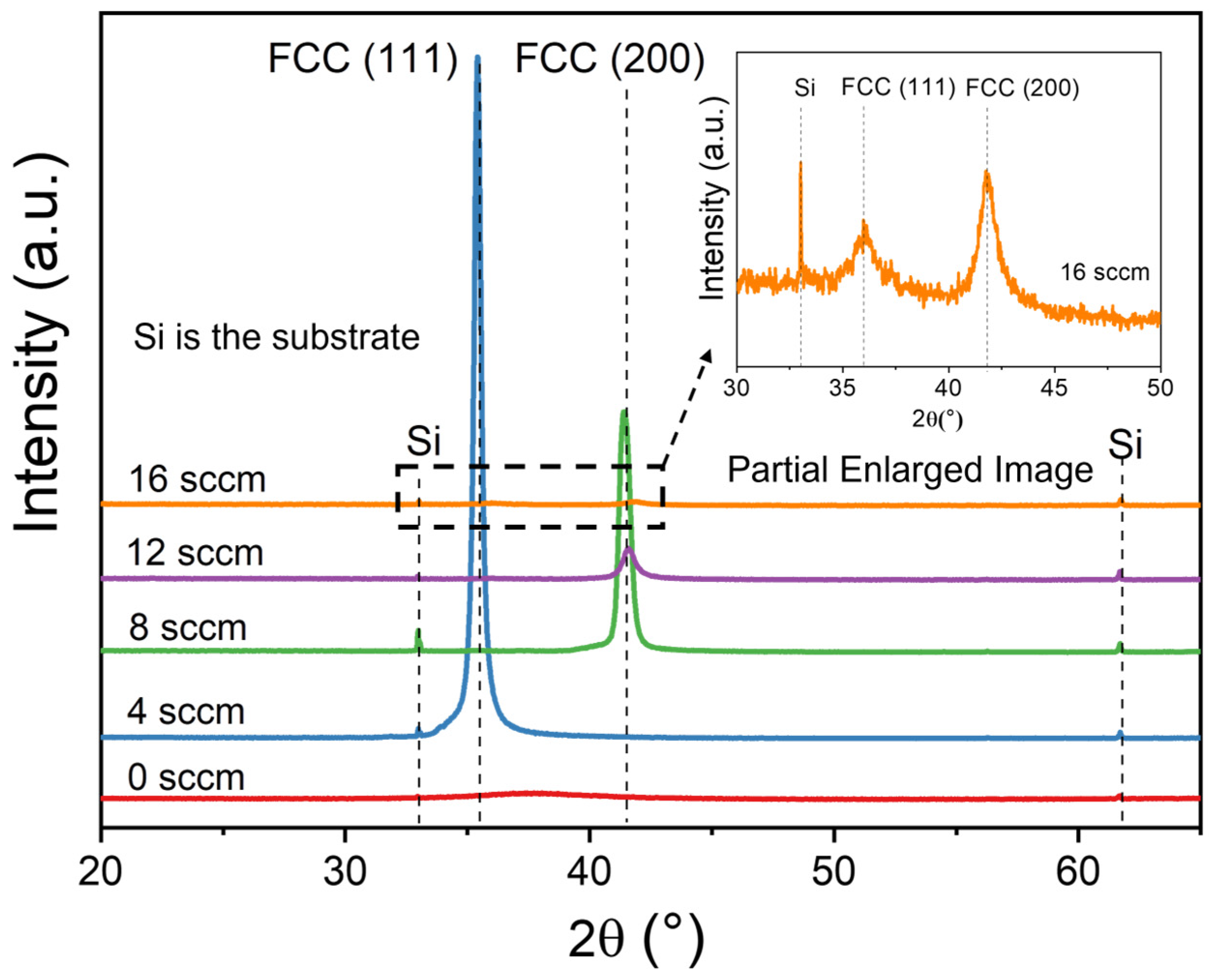 Coatings 14 00505 g002