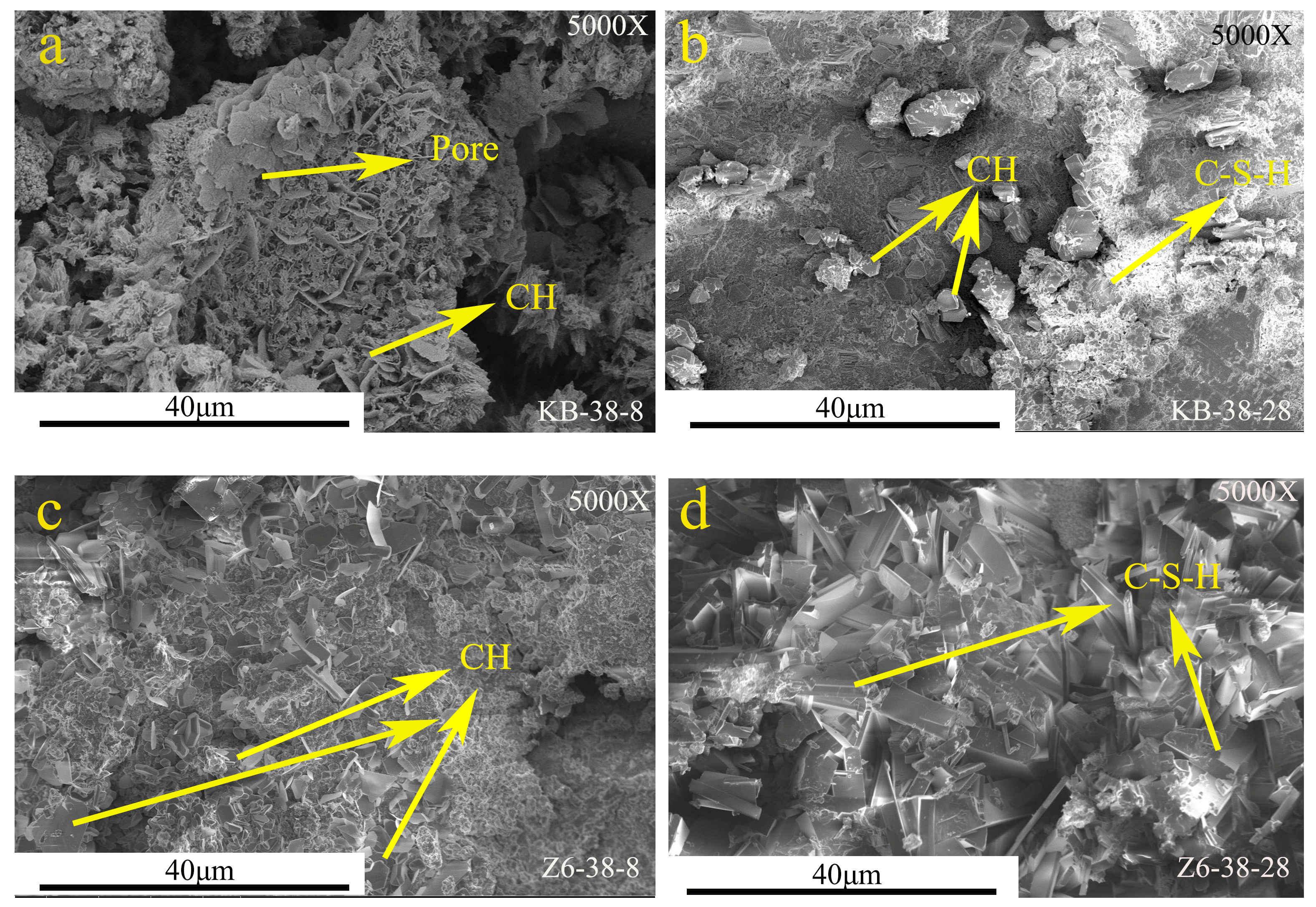 Coatings 14 00507 g012