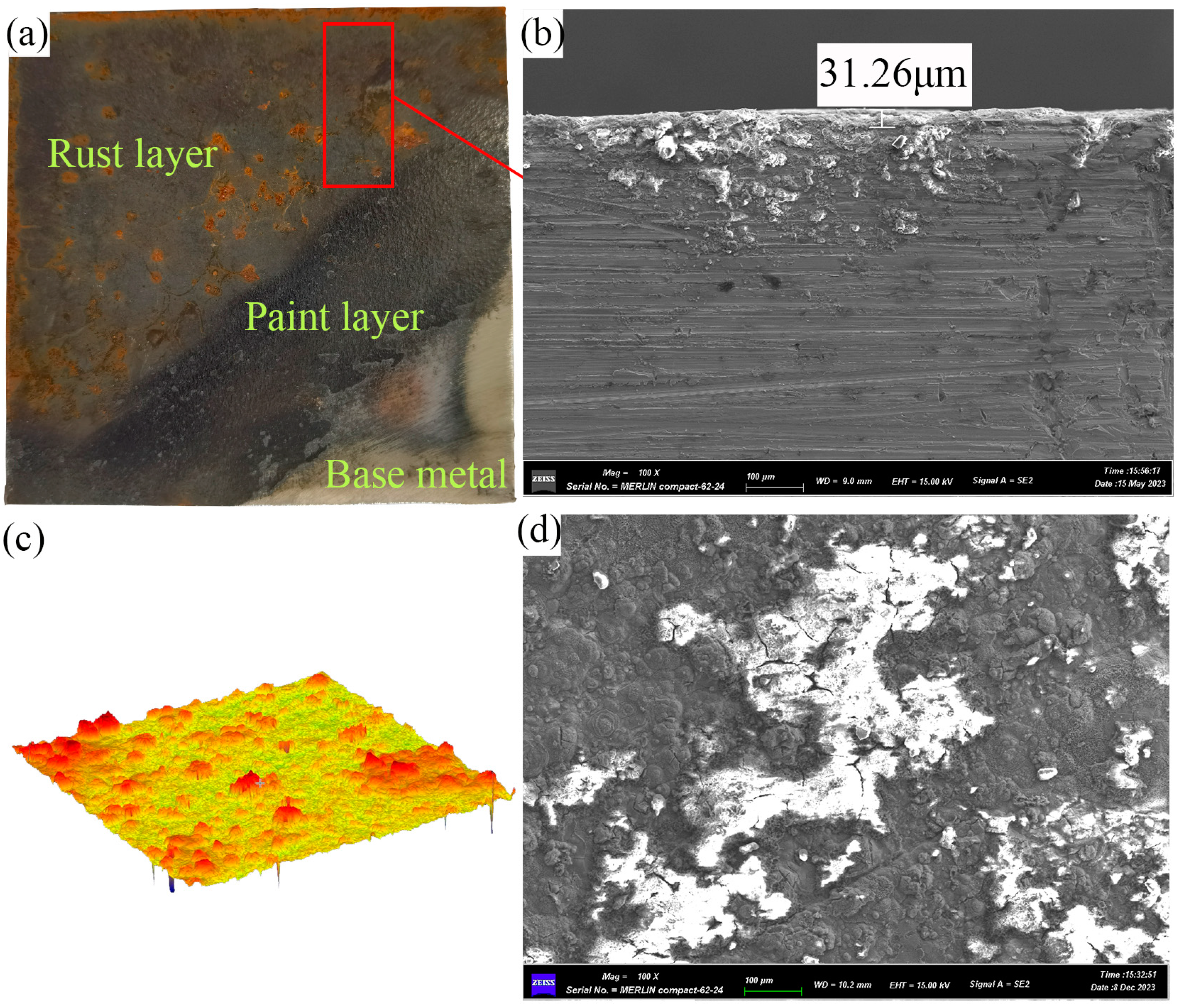 Coatings 14 00508 g002