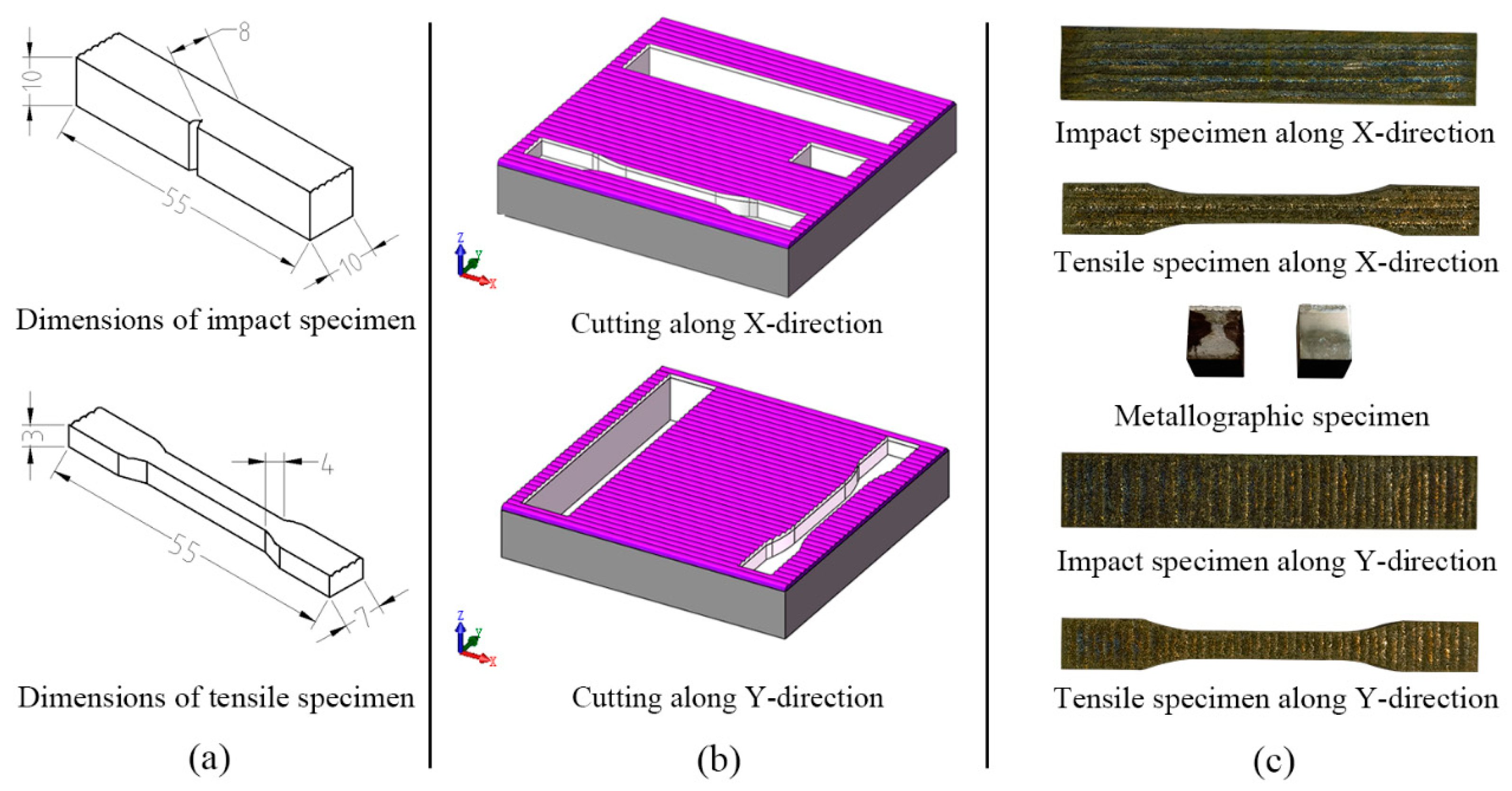 Coatings 14 00508 g003