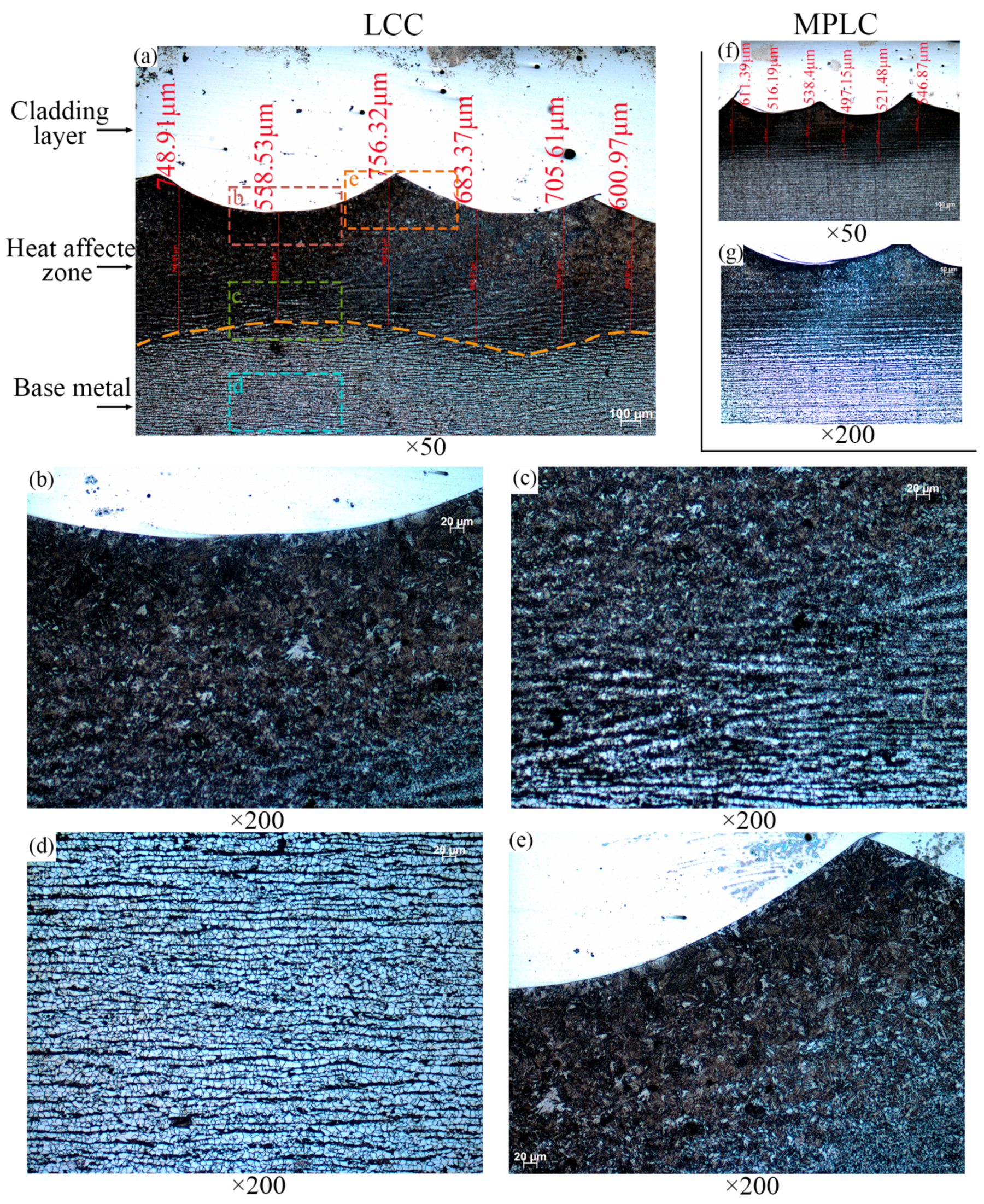 Coatings 14 00508 g016