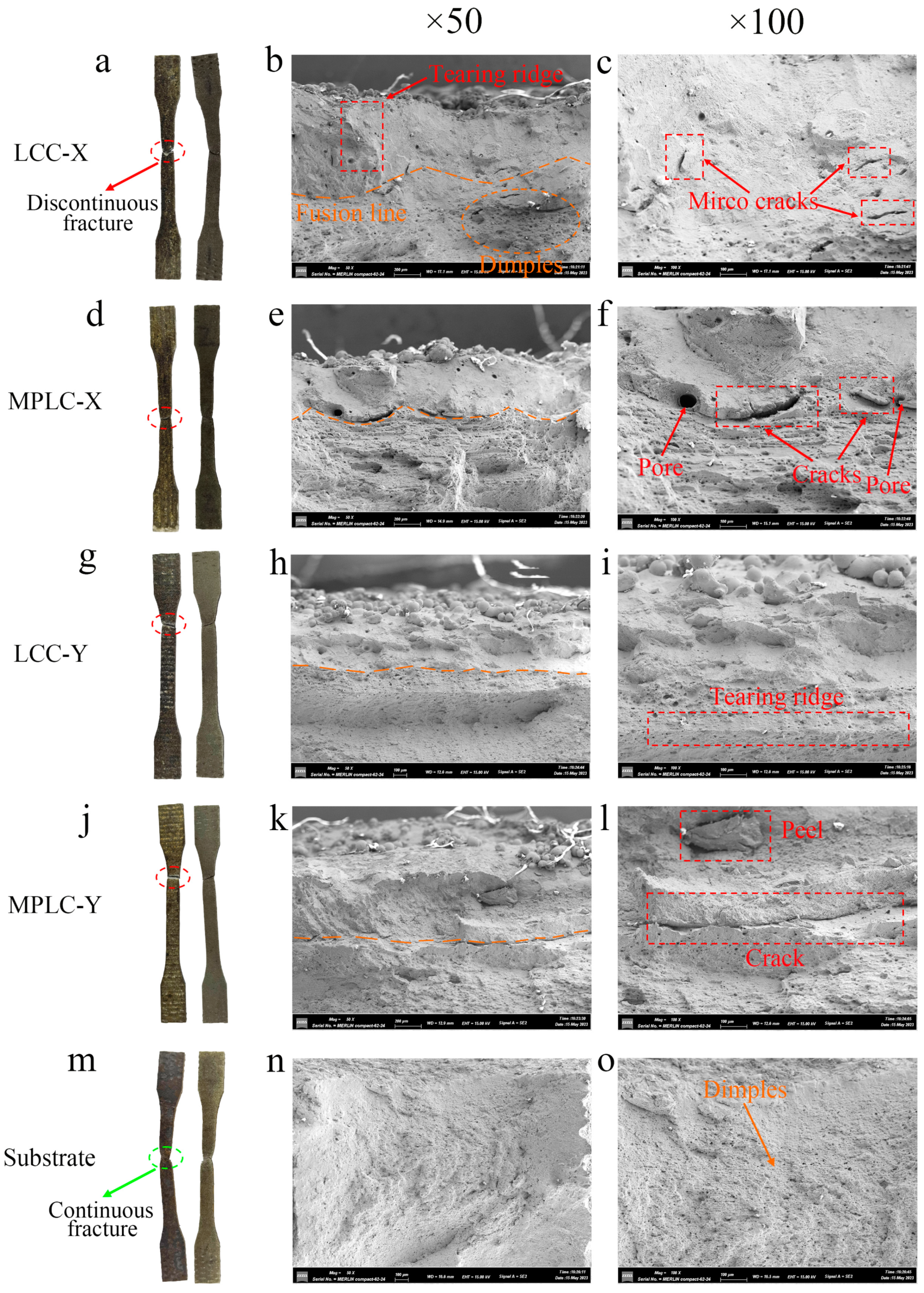 Coatings 14 00508 g021
