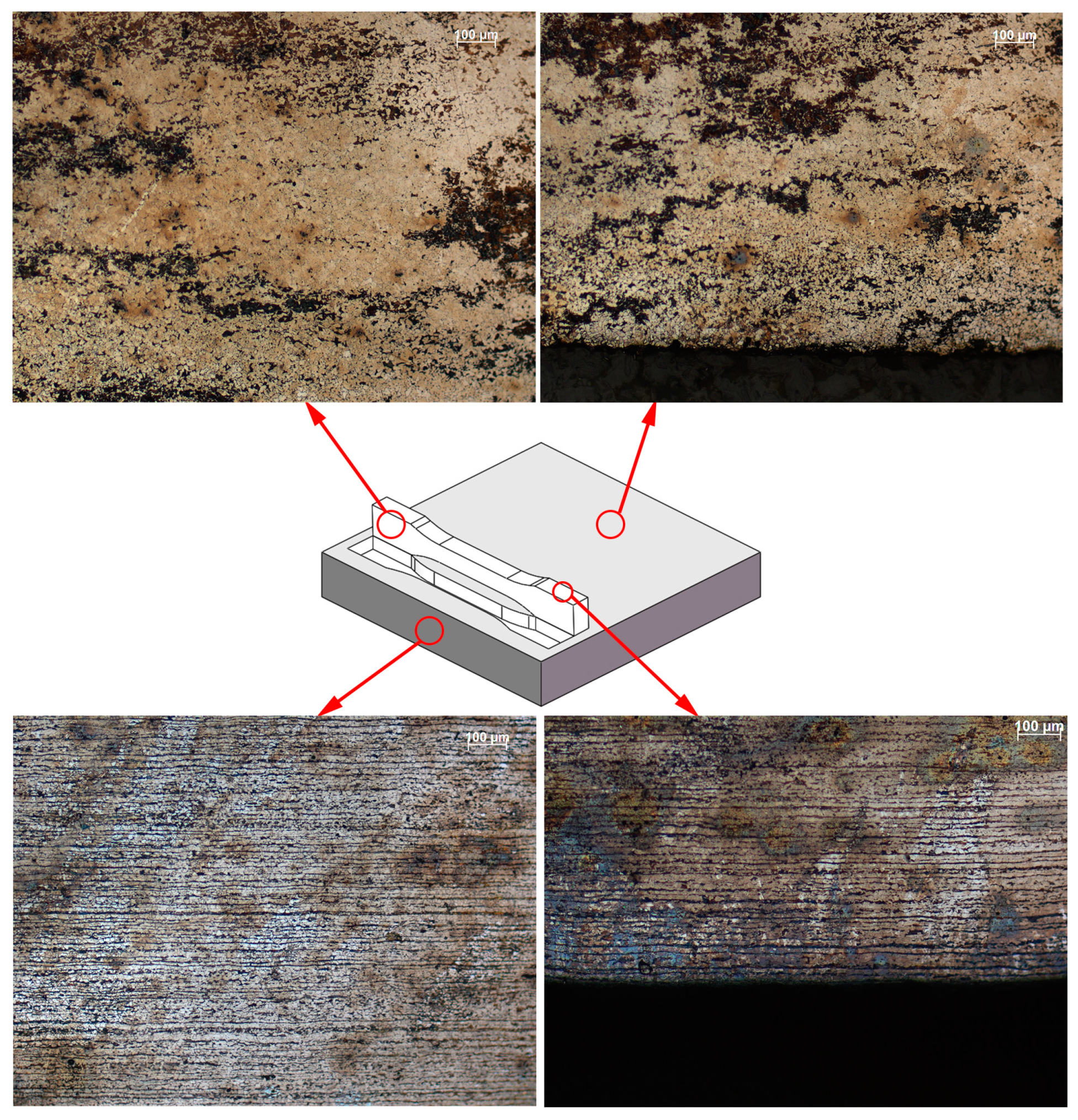Coatings 14 00508 g0a1