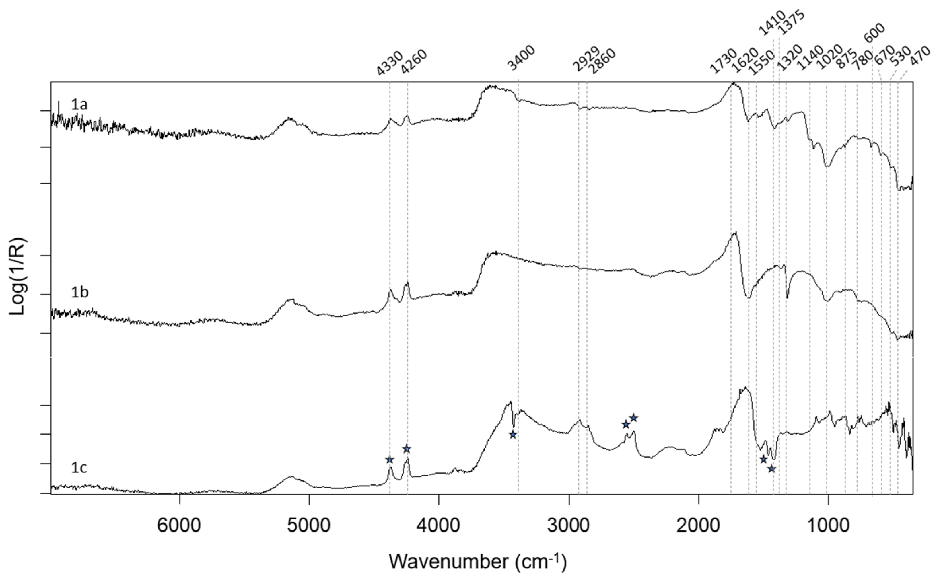 Coatings 14 00511 g004