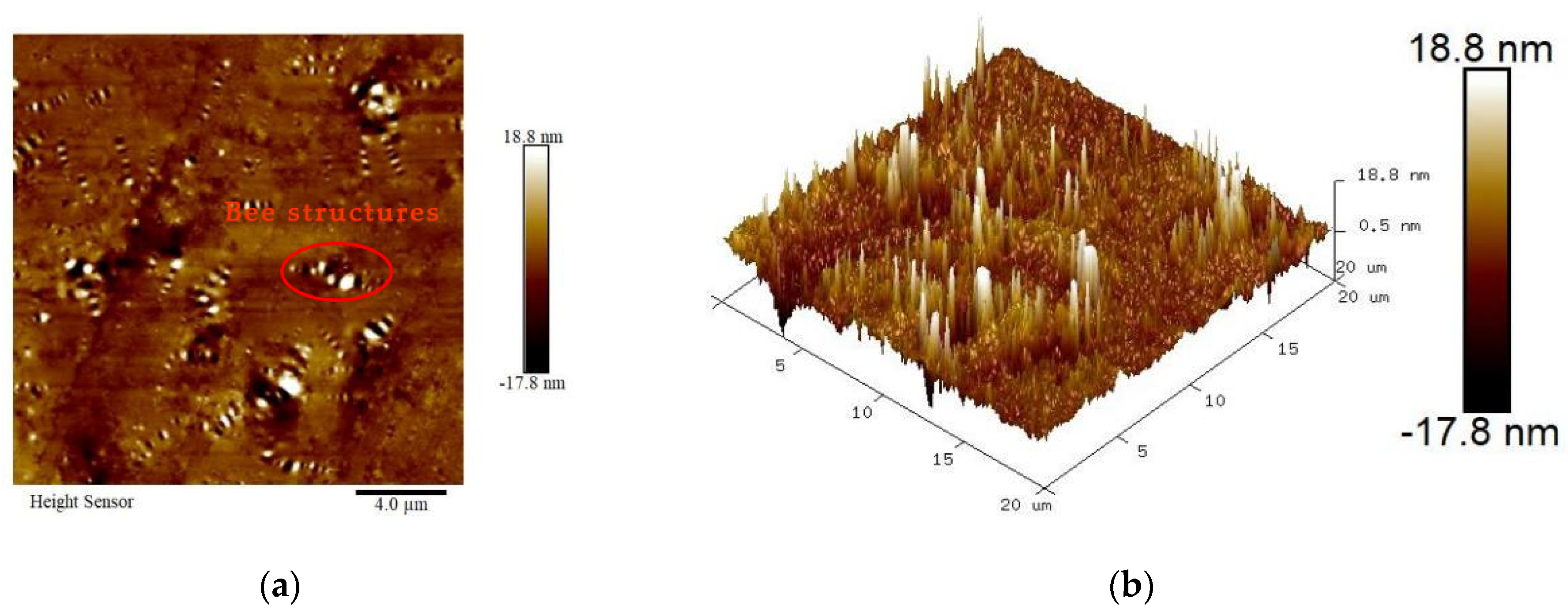 Coatings 14 00512 g003a