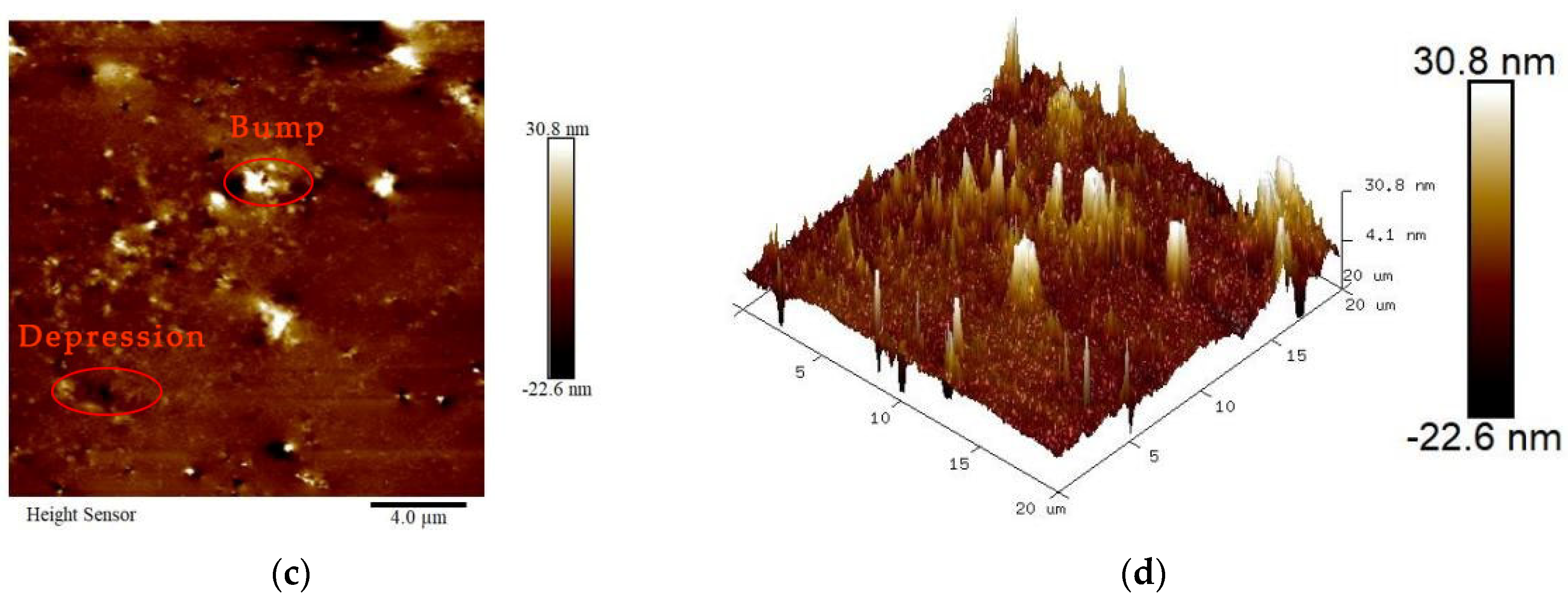 Coatings 14 00512 g003b