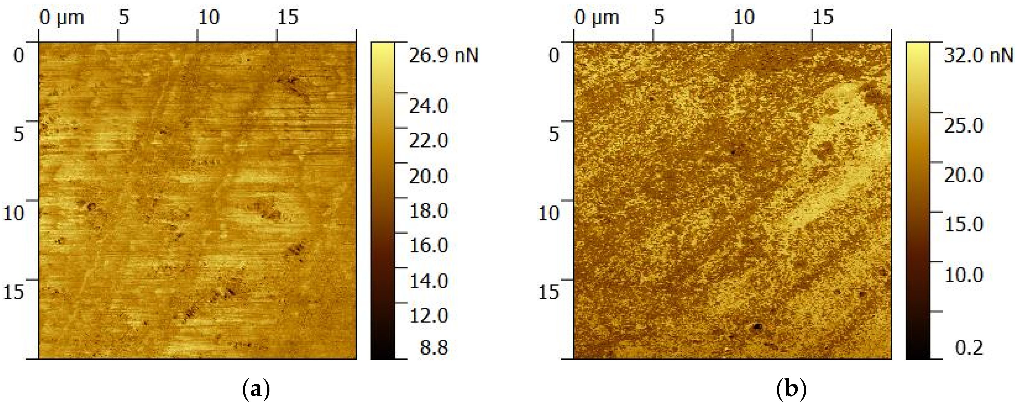 Coatings 14 00512 g004a