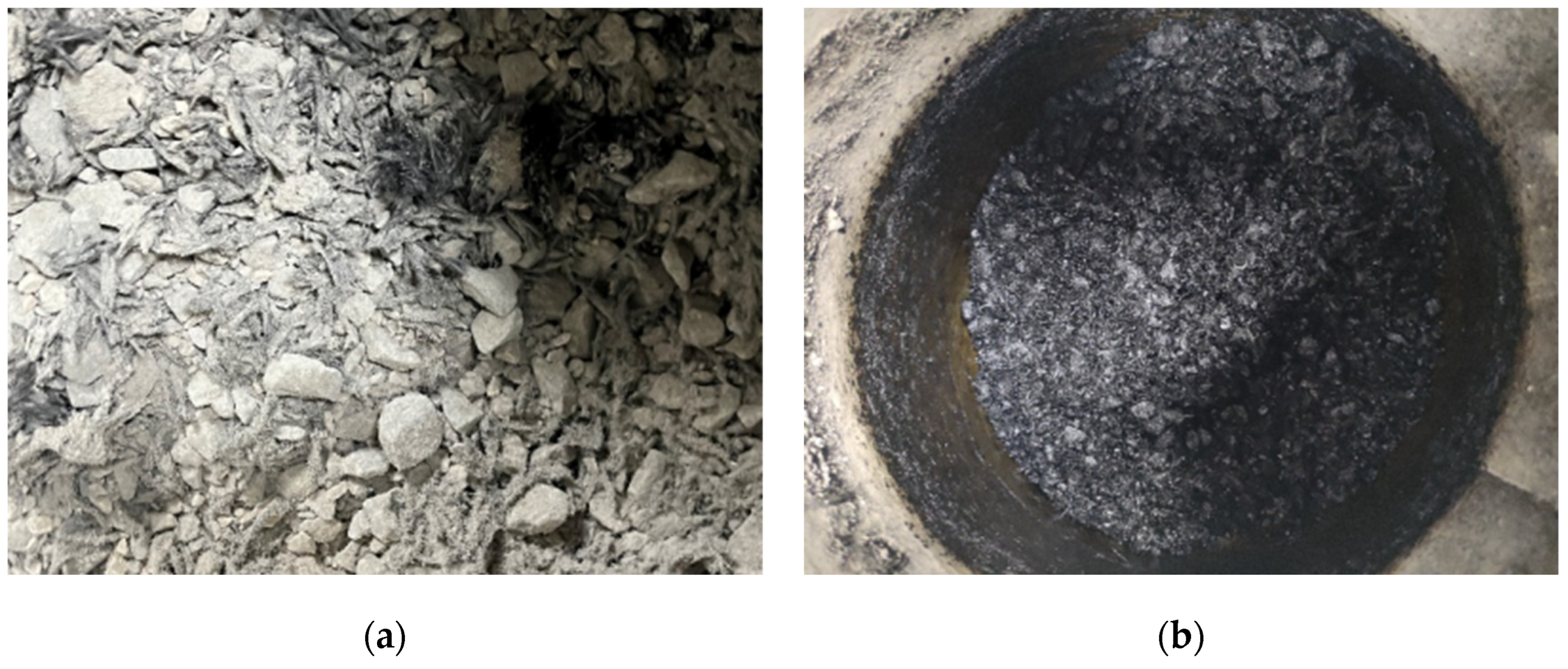 Coatings 14 00512 g006