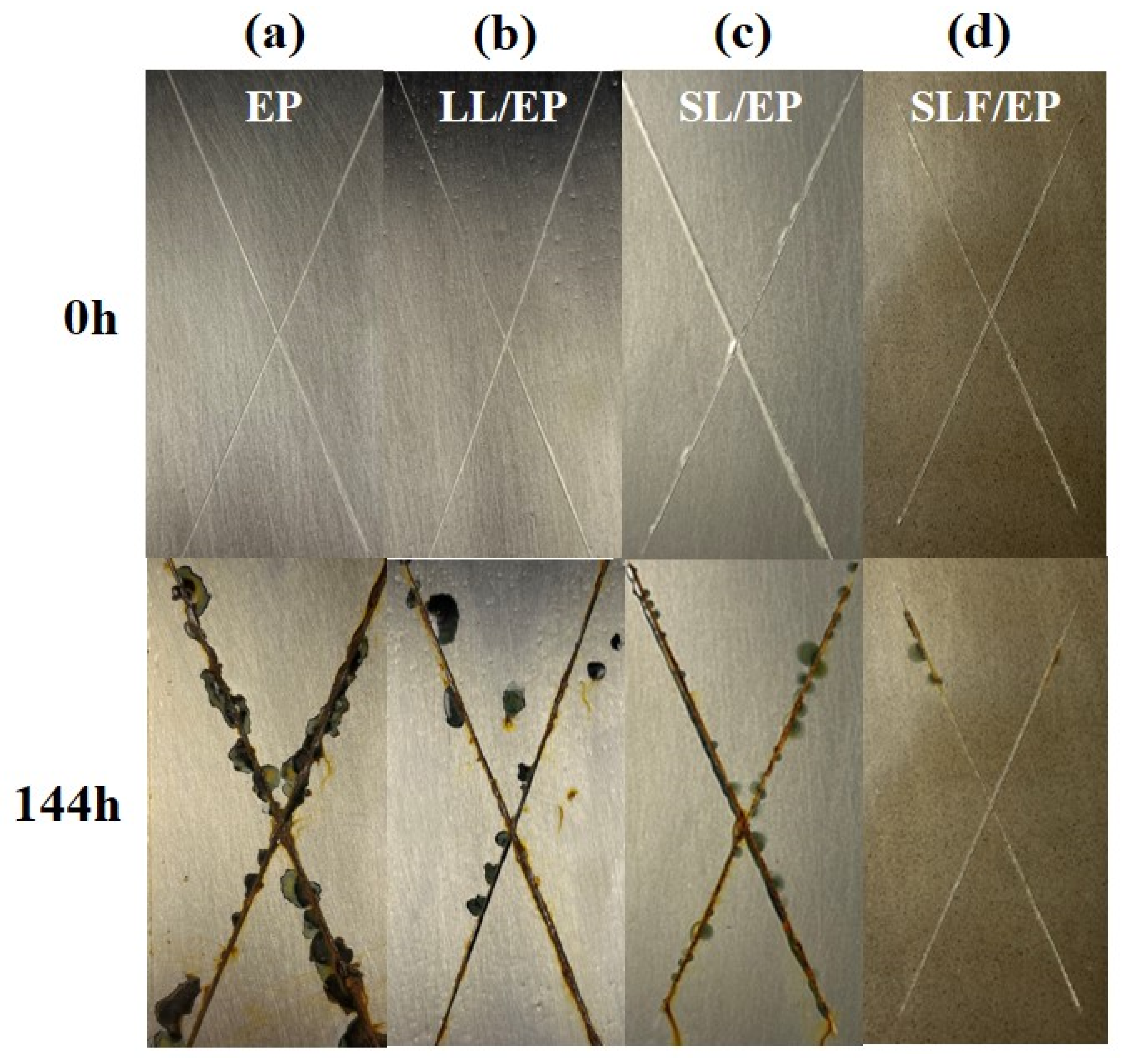 Coatings 14 00514 g011