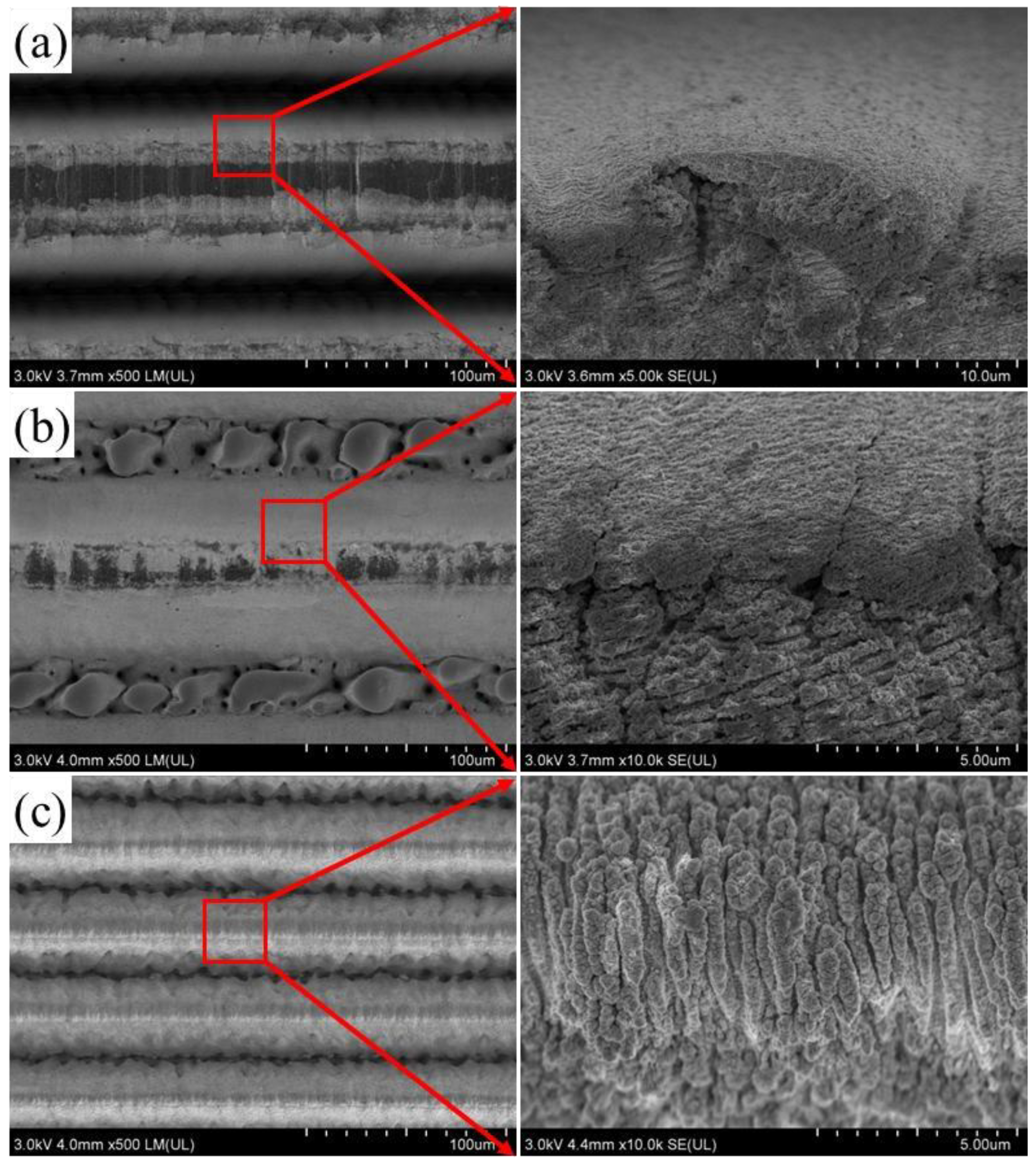 Coatings 14 00516 g003