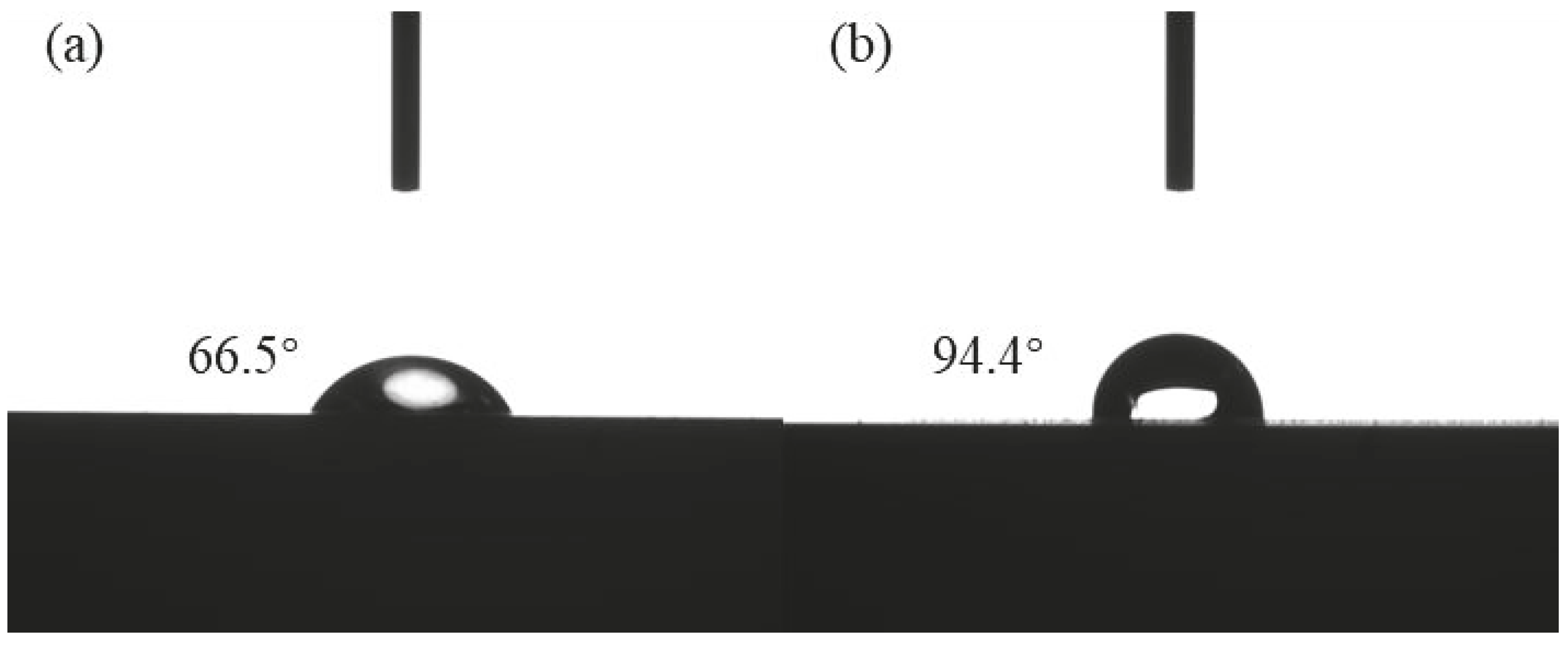 Coatings 14 00516 g005